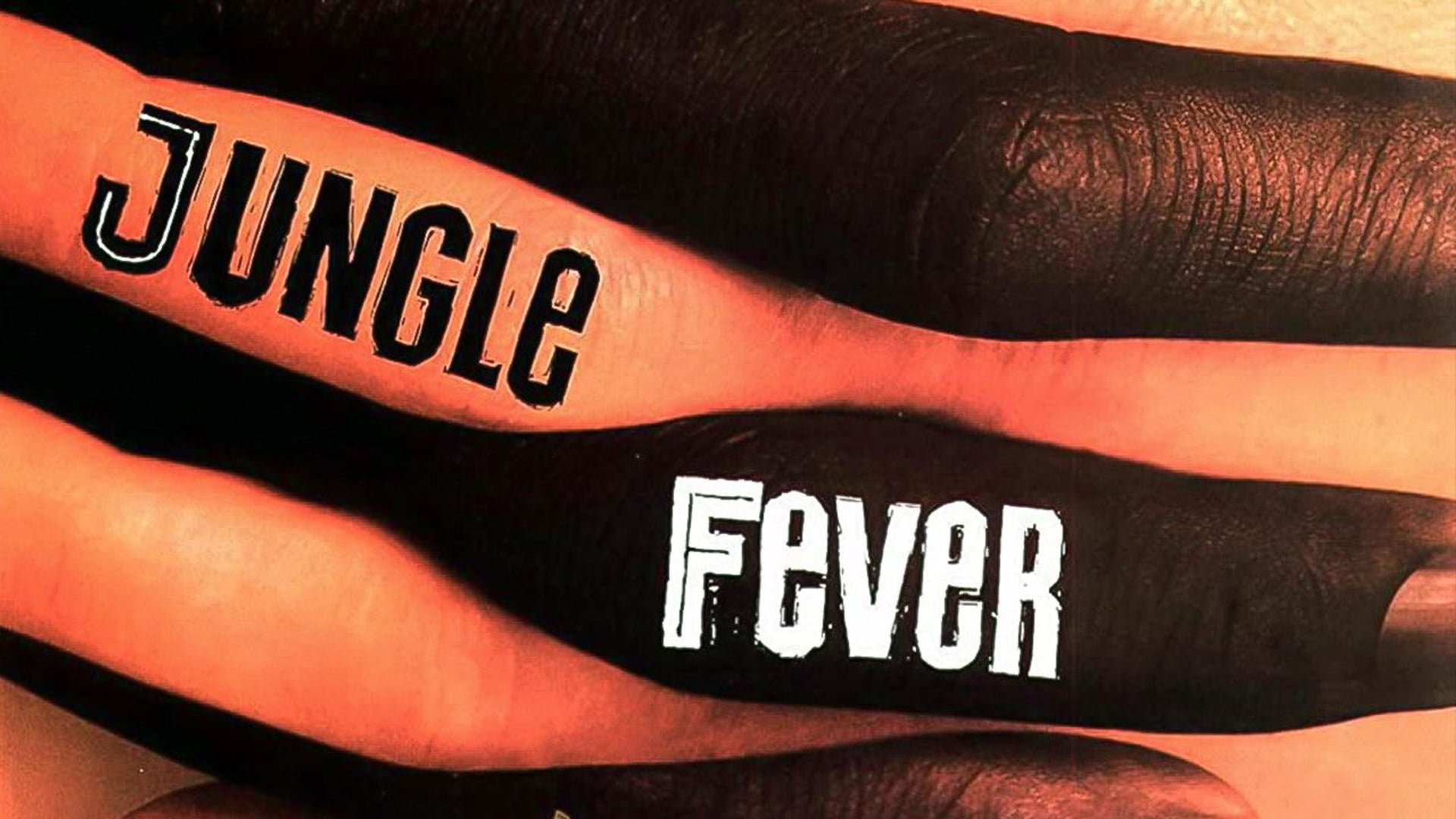 Foto do filme Febre da Selva