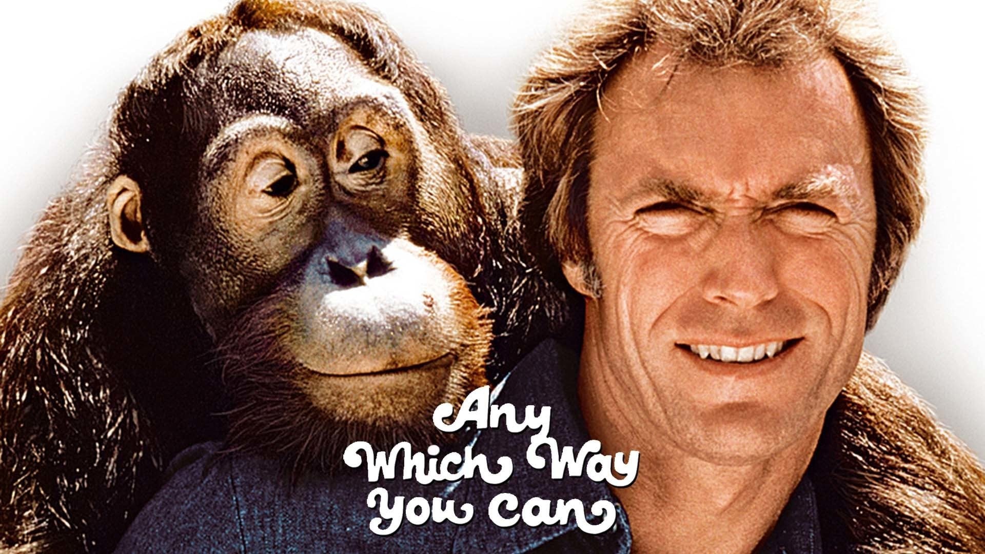 Foto do filme Punhos de Aço: Um Lutador de Rua