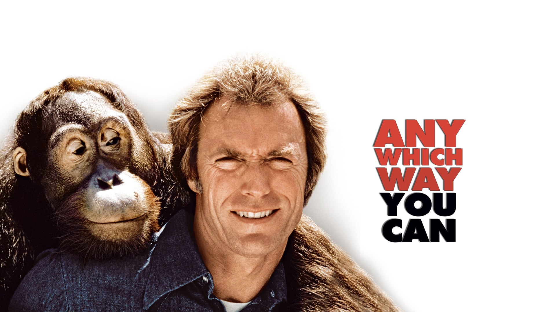 Foto do filme Punhos de Aço: Um Lutador de Rua