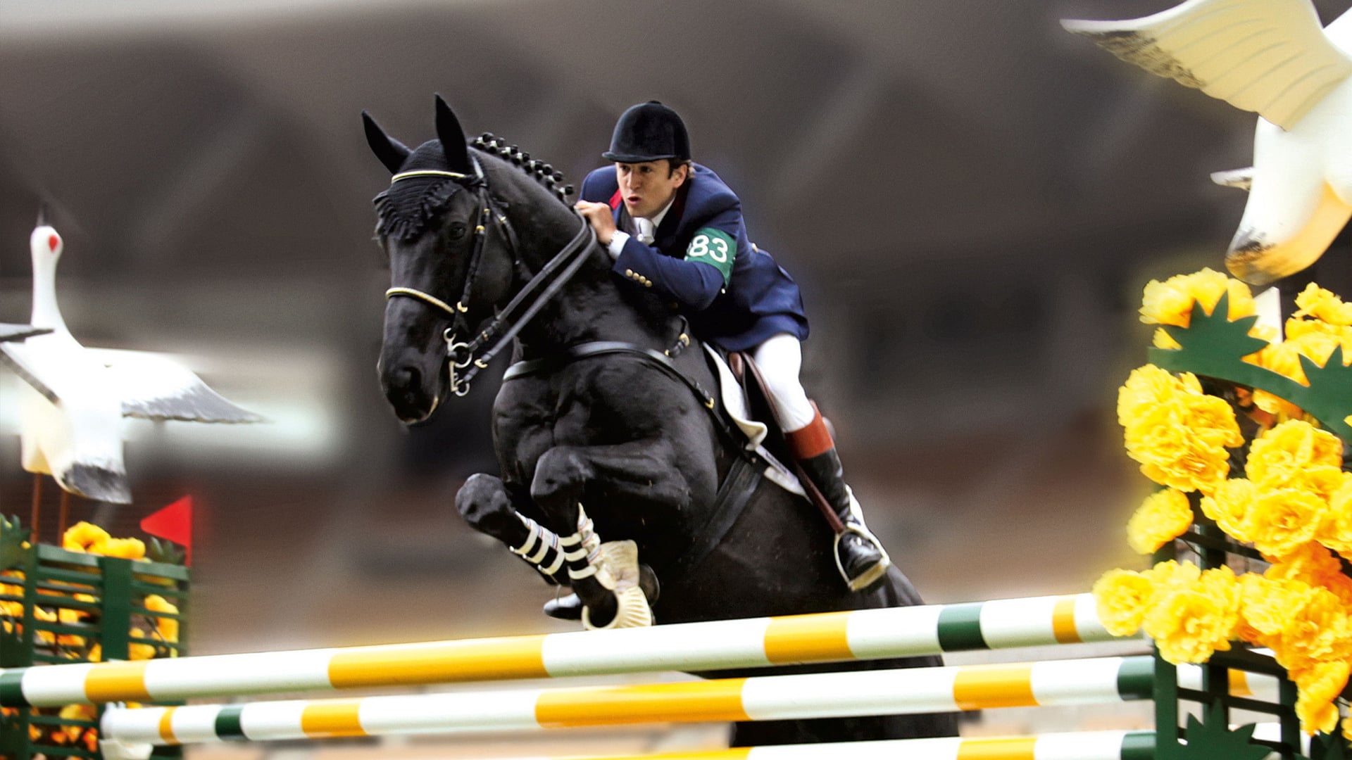 Foto do filme Jappeloup