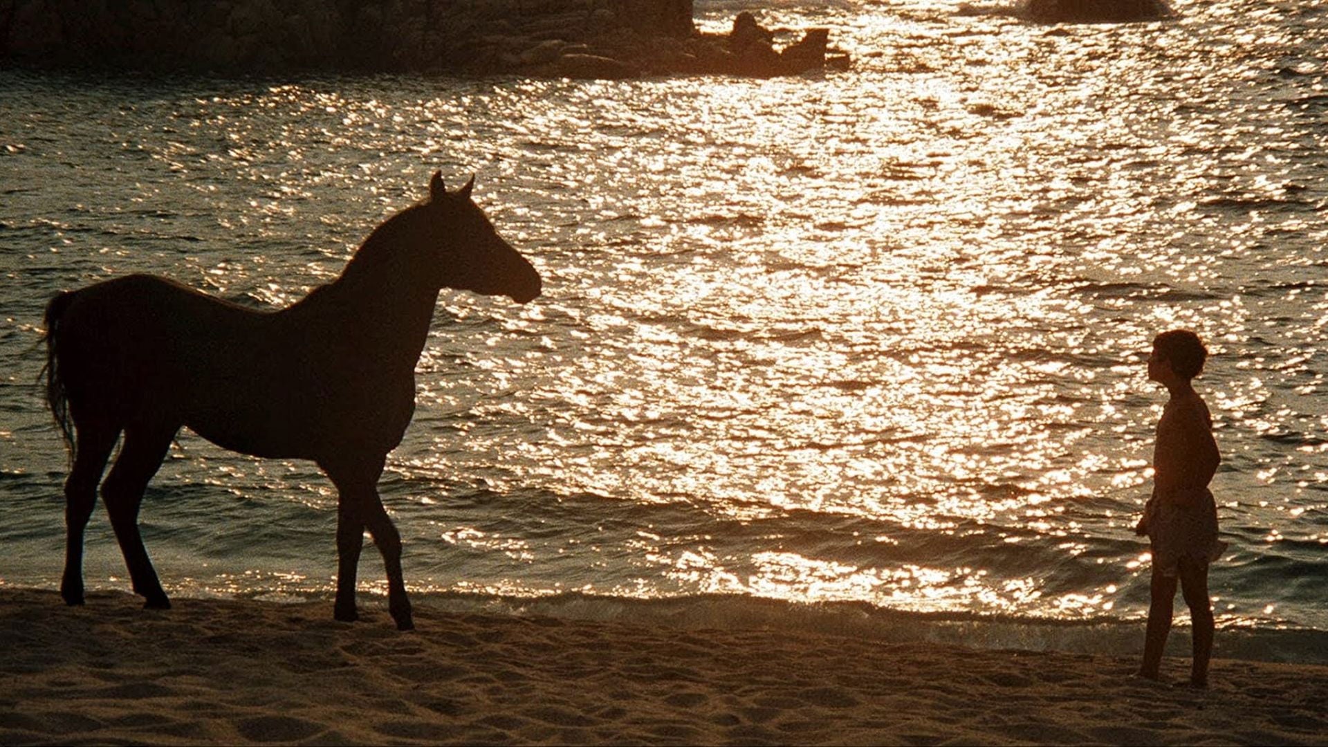 Foto do filme O Corcel Negro