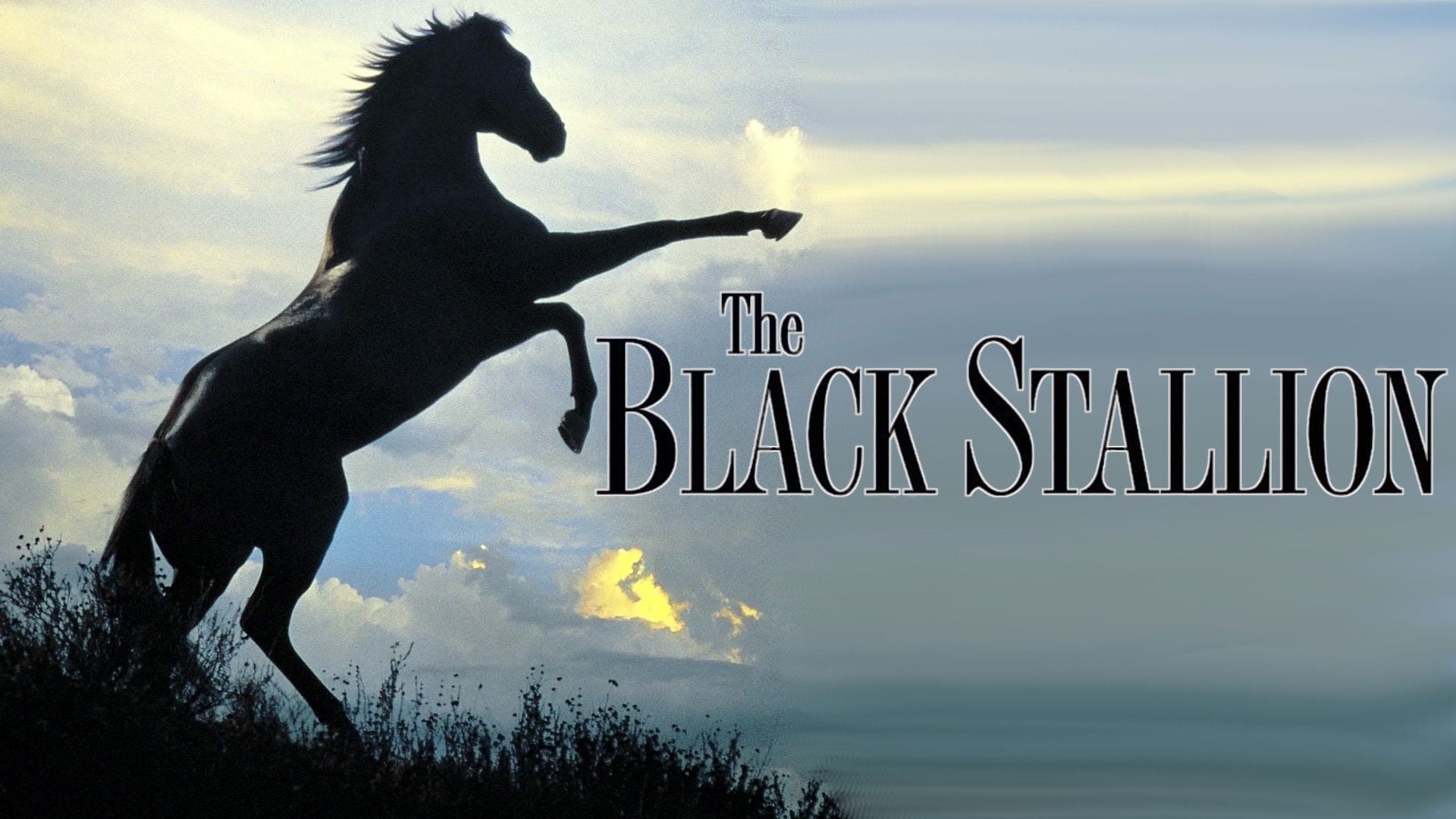 Foto do filme O Corcel Negro