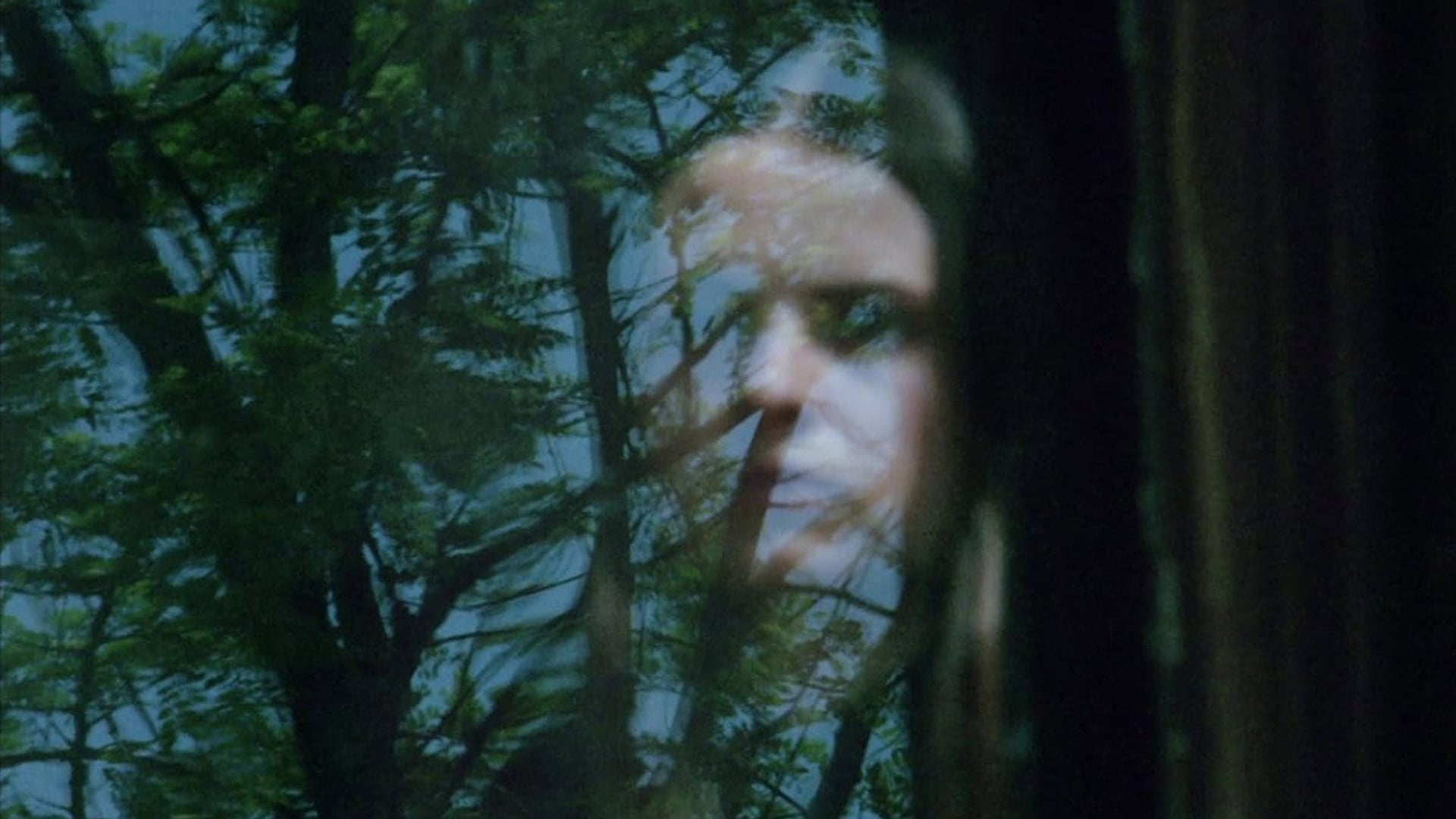 Foto do filme Vampiras Lésbicas
