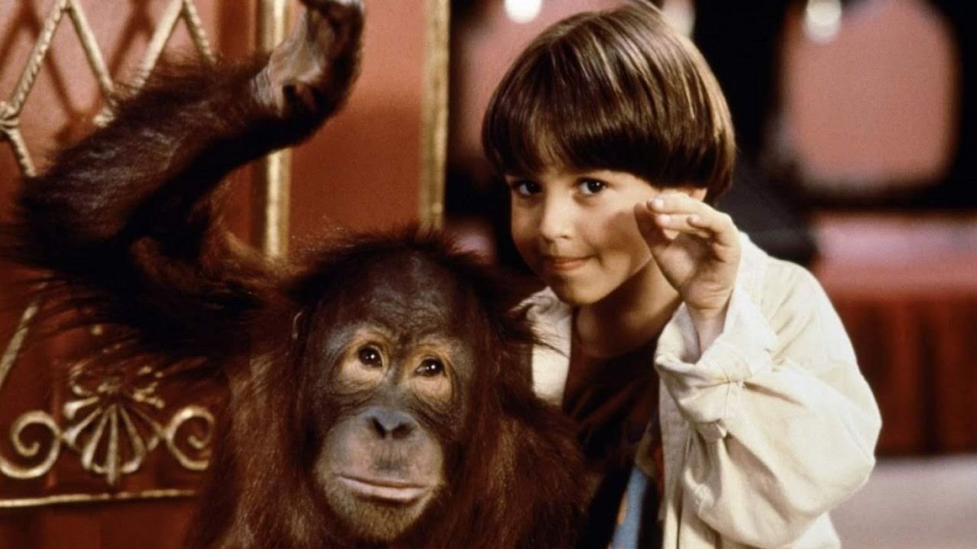 Foto do filme O Hóspede Quer Bananas