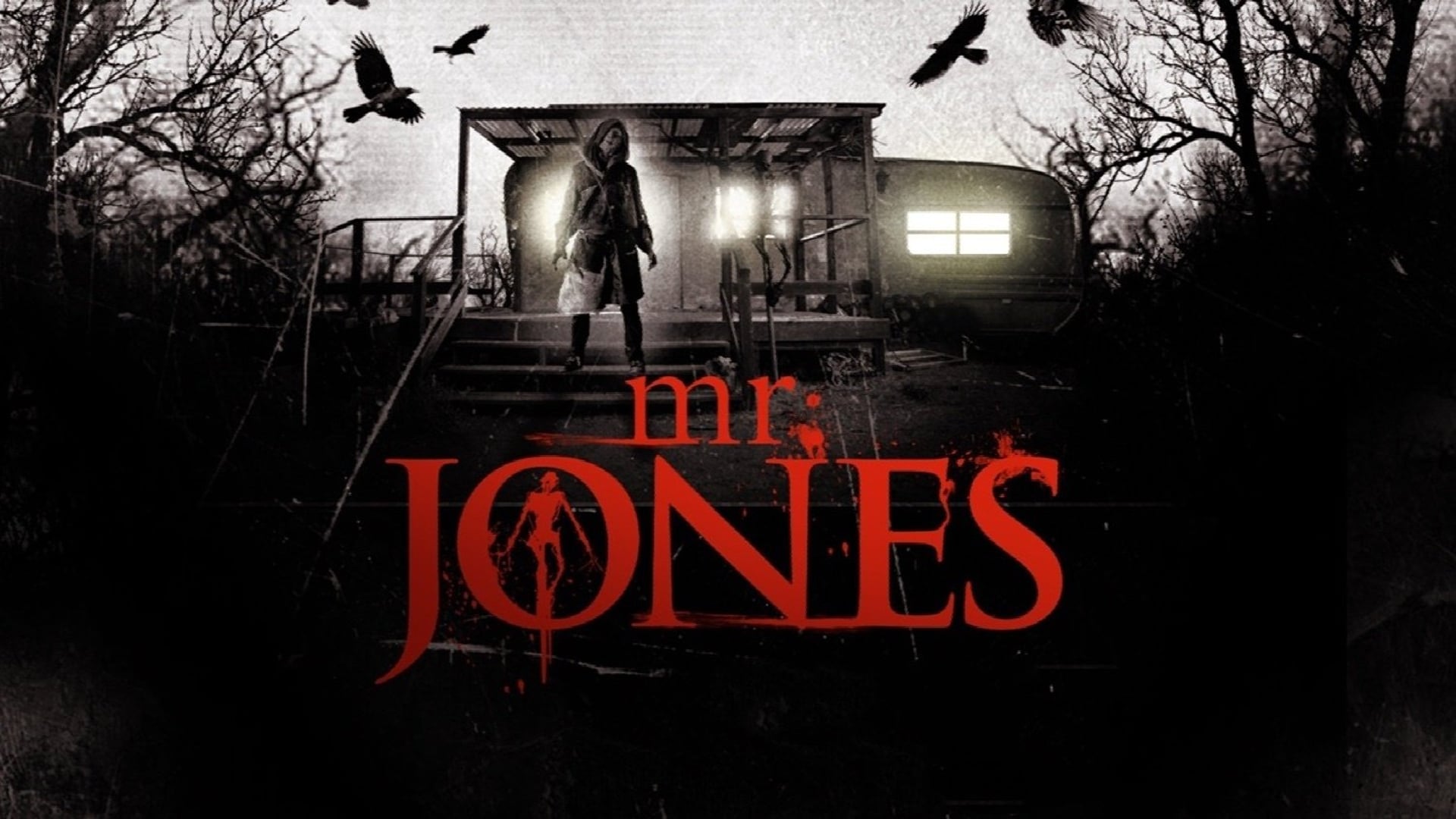 Foto do filme Mr. Jones