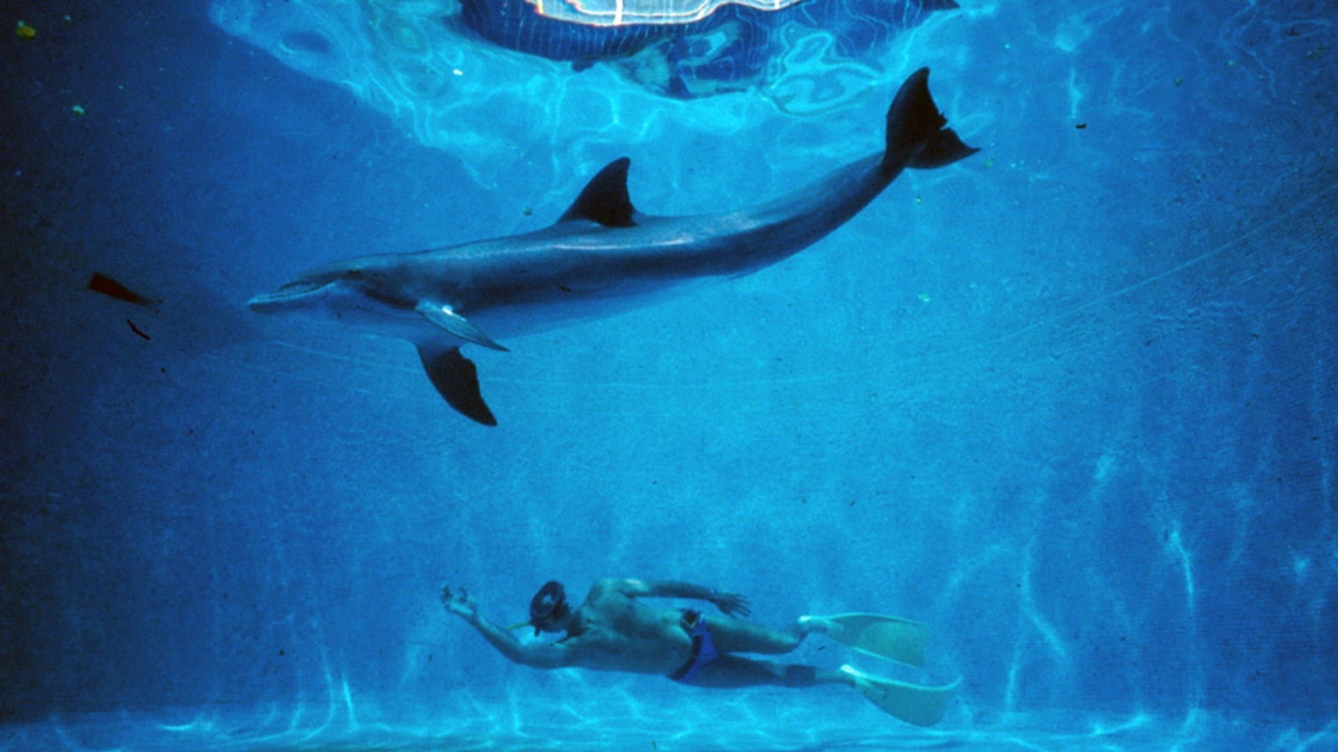 Foto do filme Imensidão Azul