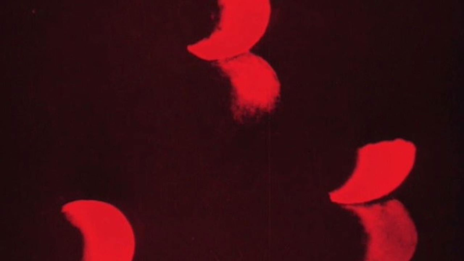 Foto do filme Lichtspiel: Opus I