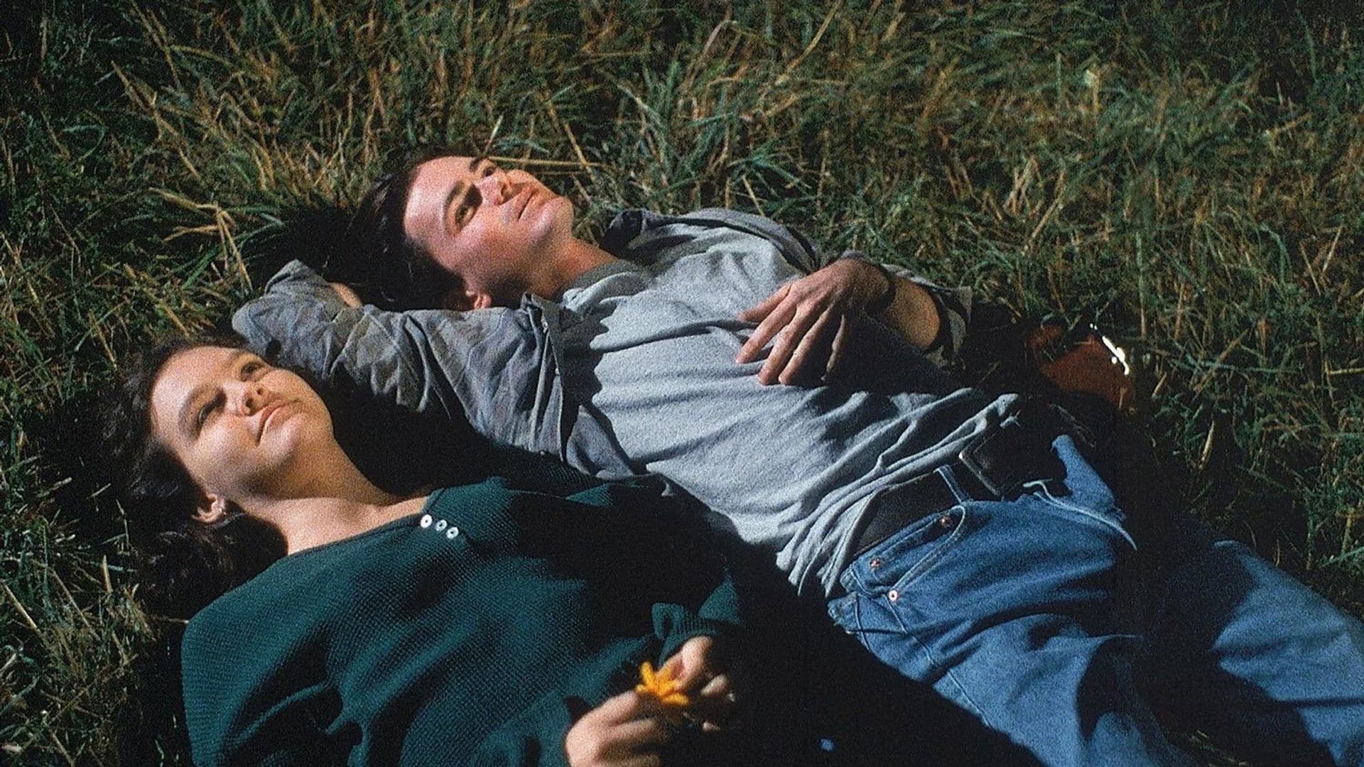 Foto do filme Spanking the Monkey