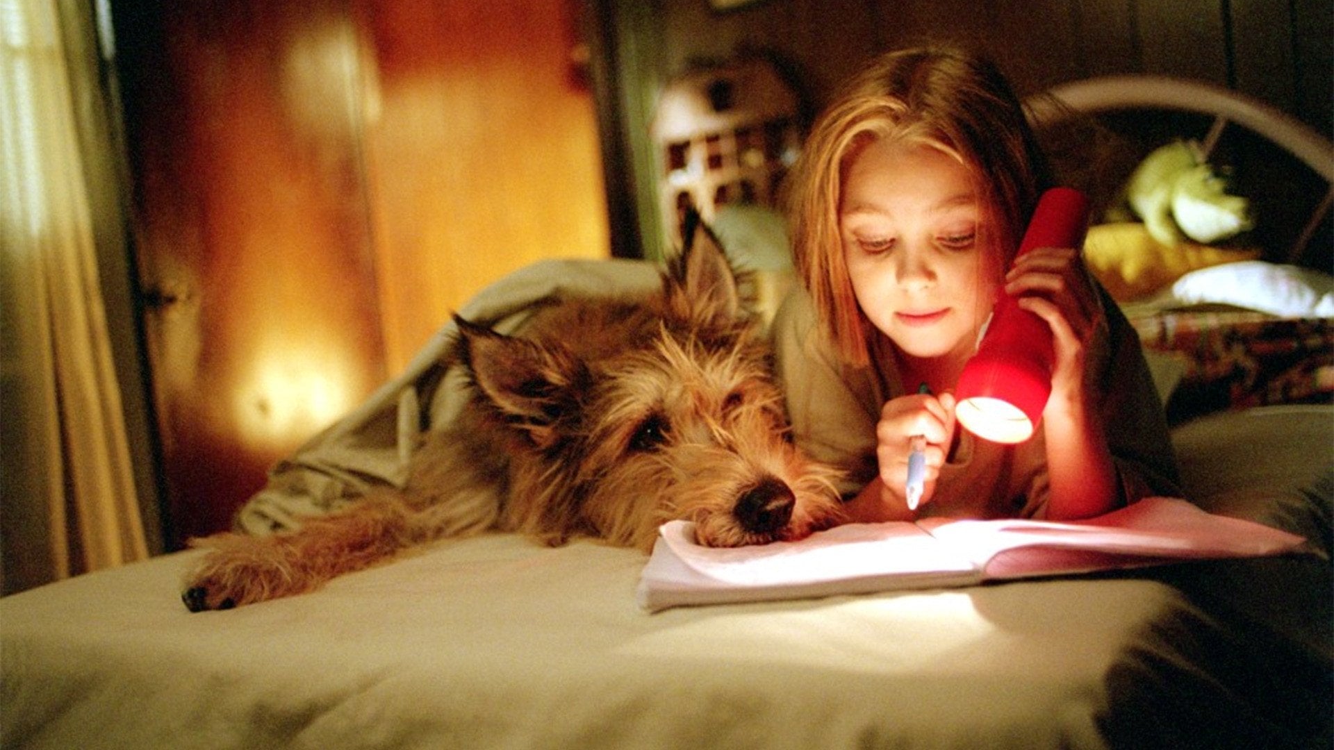 Foto do filme Meu Melhor Amigo