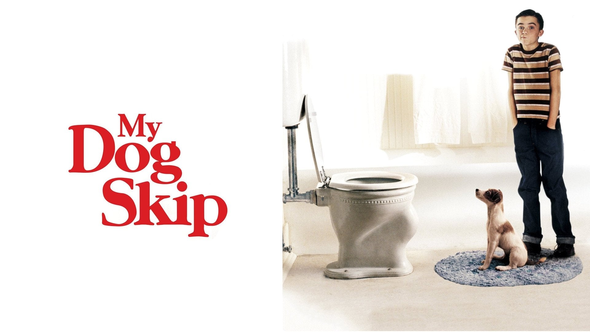 Foto do filme Meu Cachorro Skip