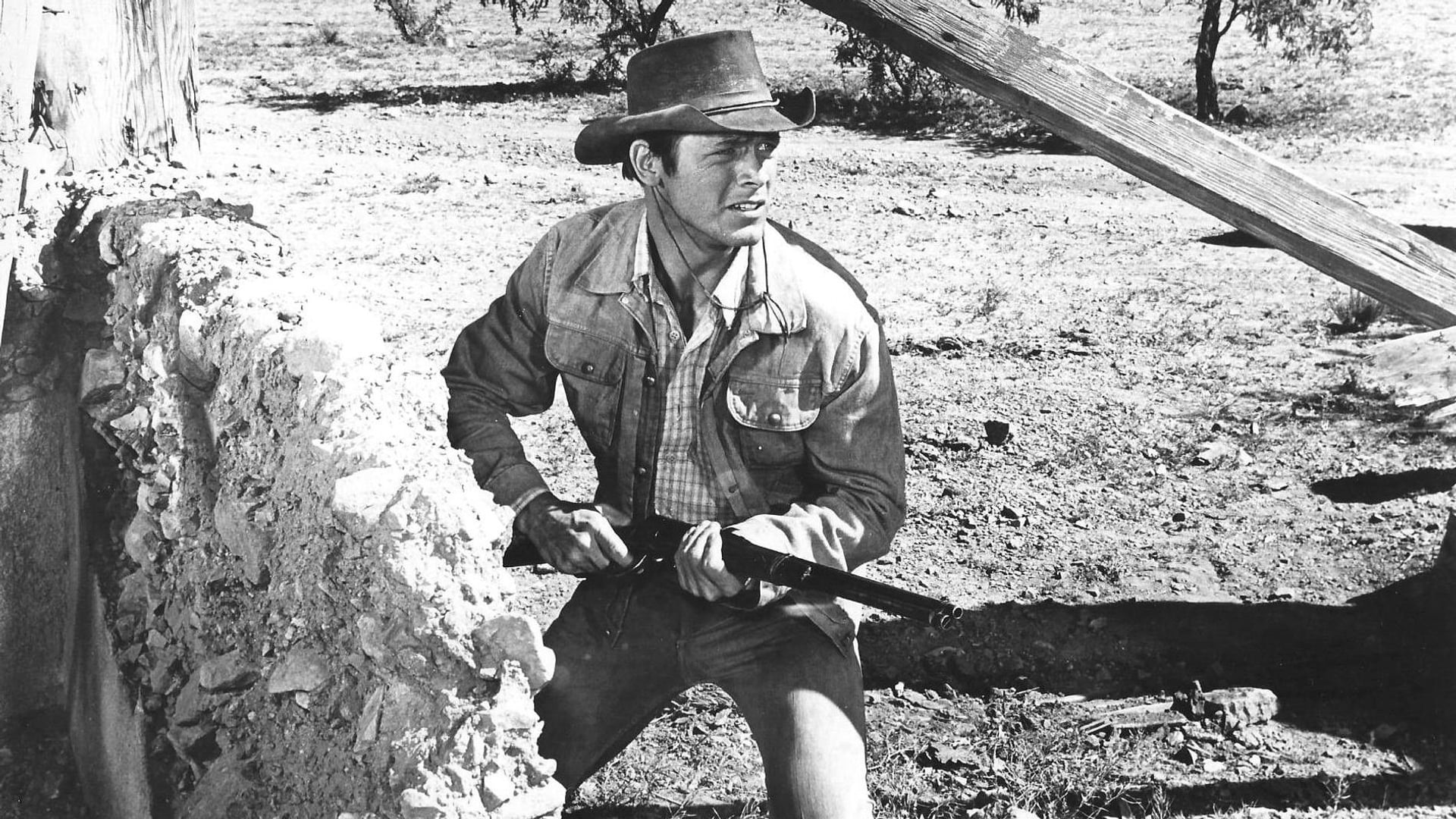 Foto do filme A Volta do Pistoleiro