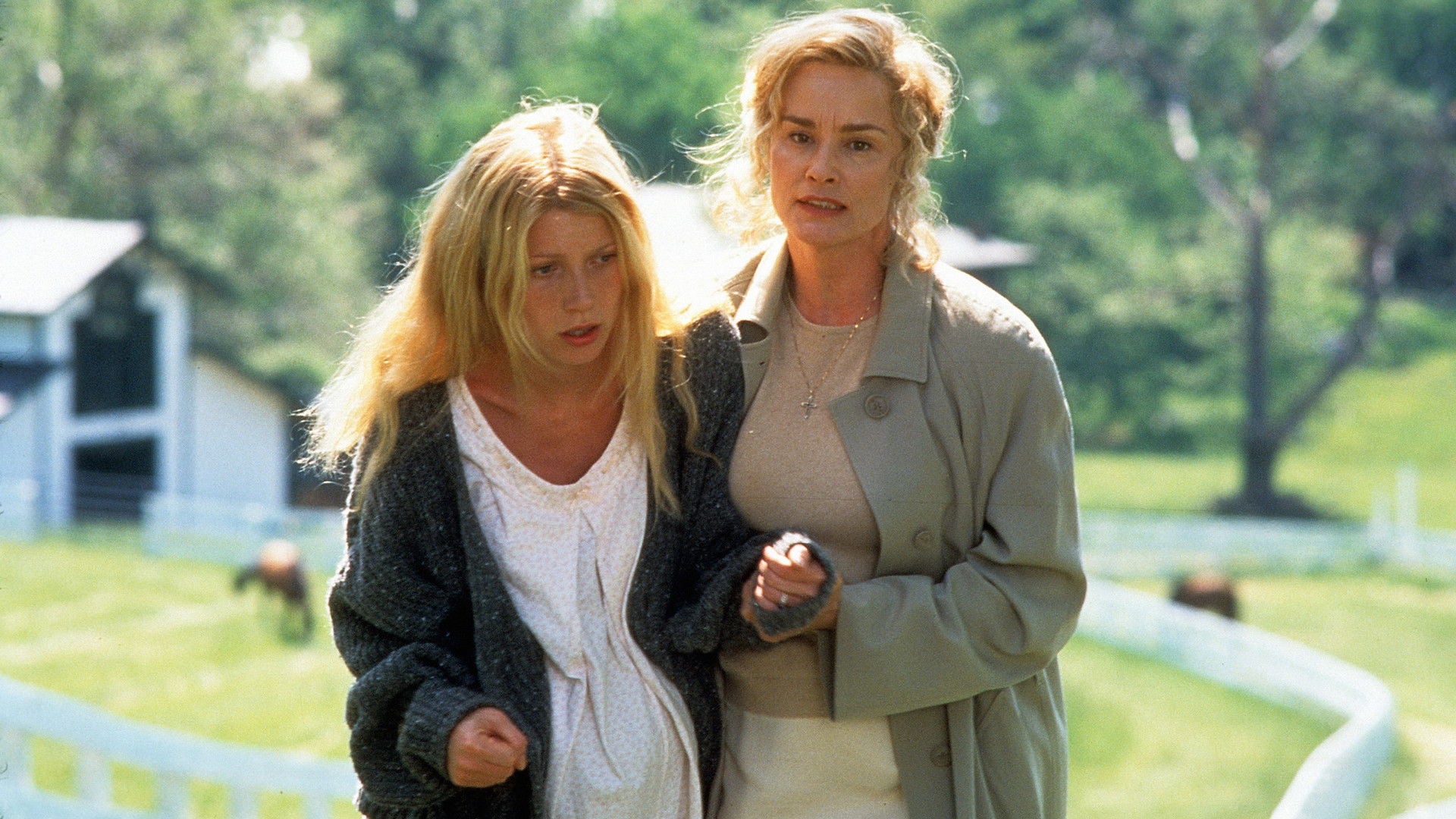 Foto do filme Segredo de Sangue