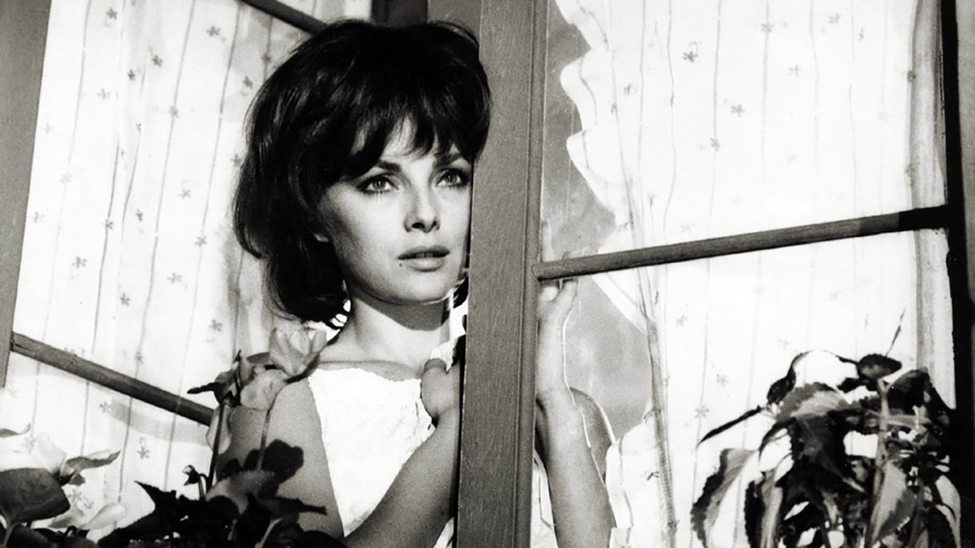 Foto do filme Confusões à Italiana