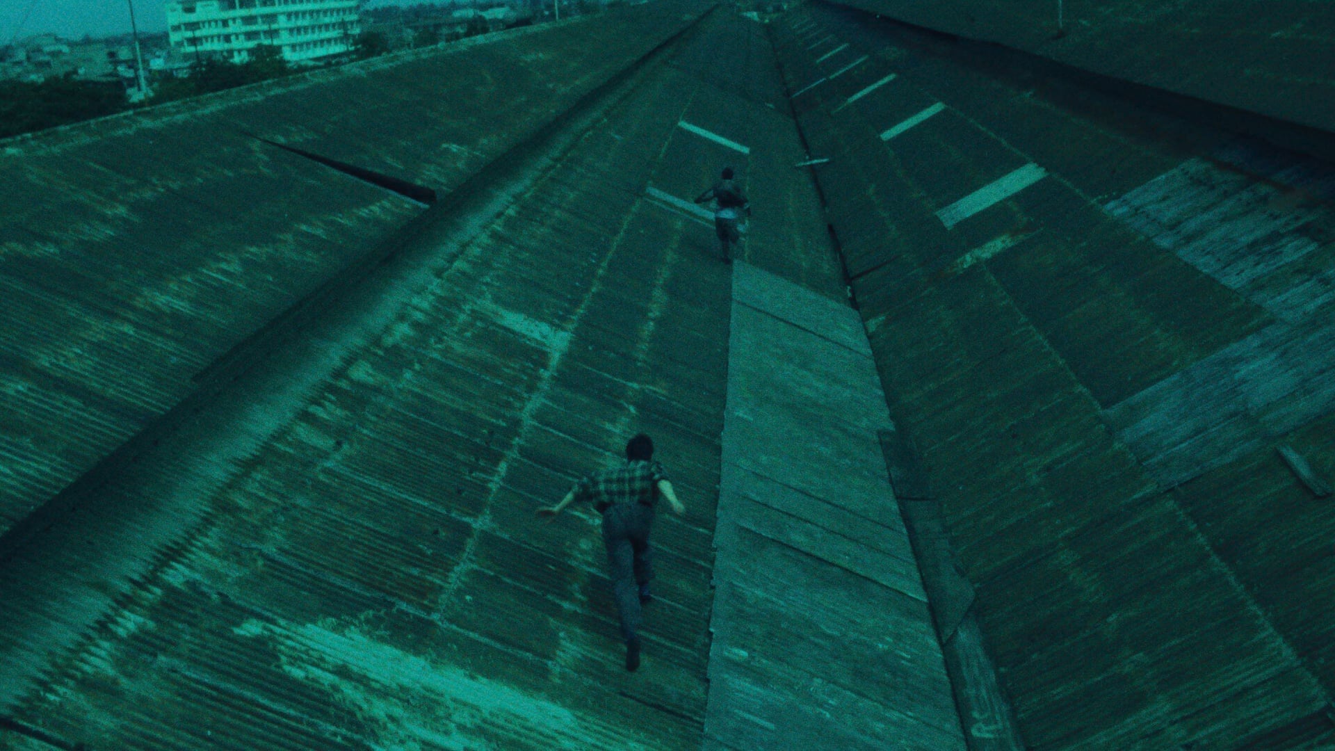 Foto do filme Dias Selvagens