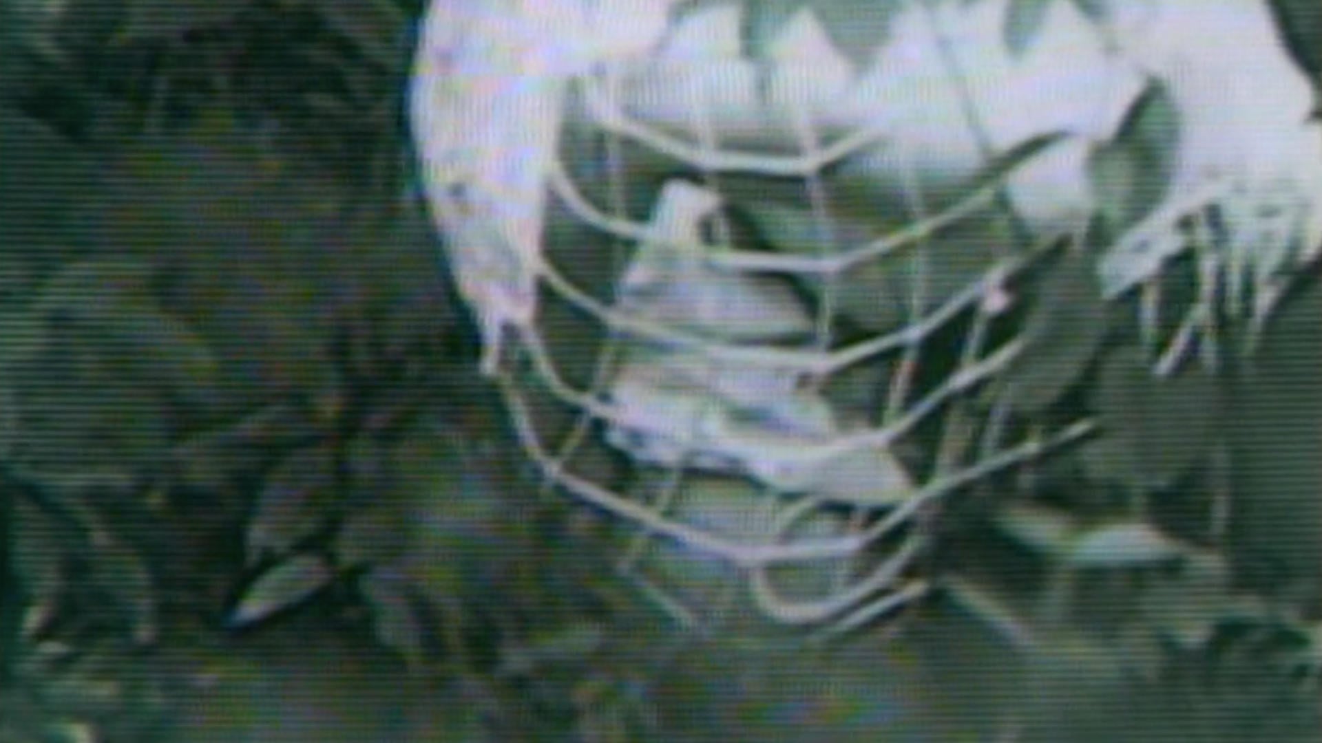 Foto do filme Guinea Pig: Devil's Experiment