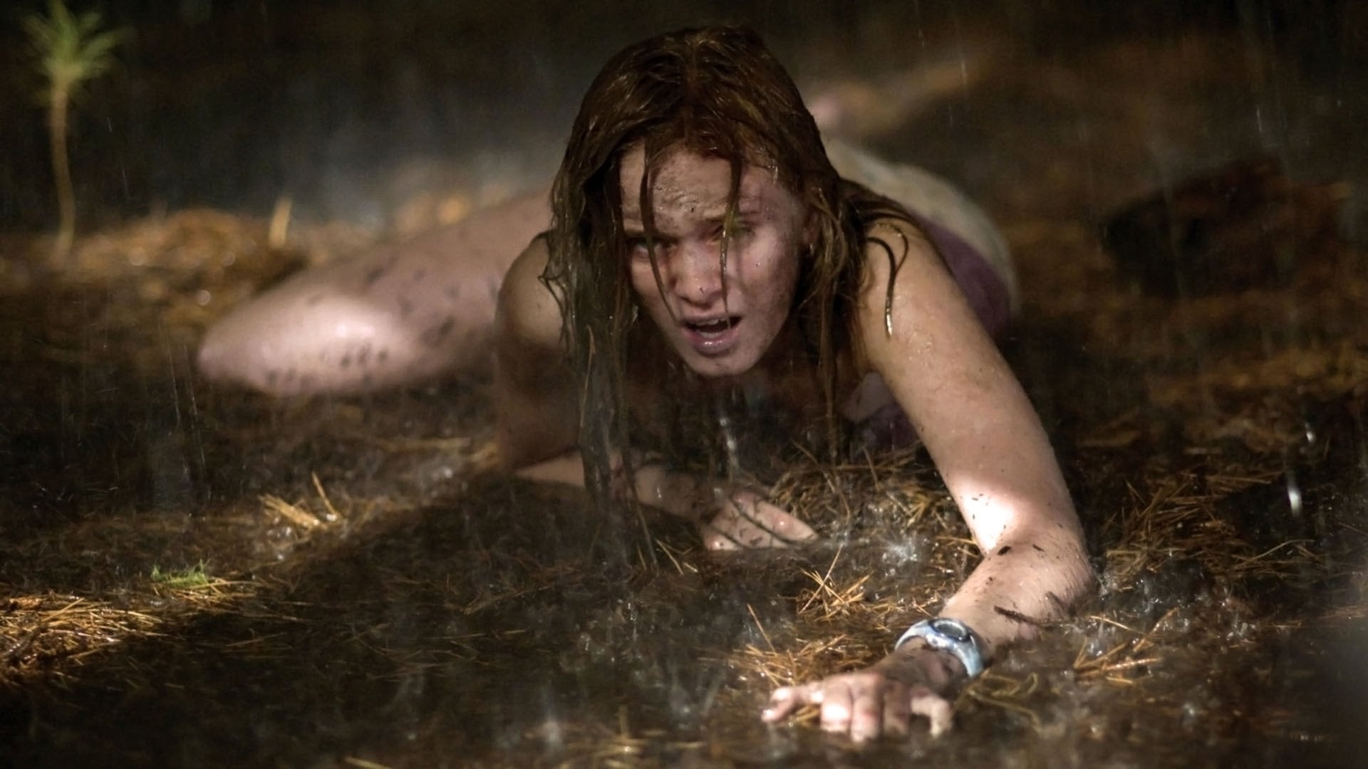 Foto do filme A Última Casa