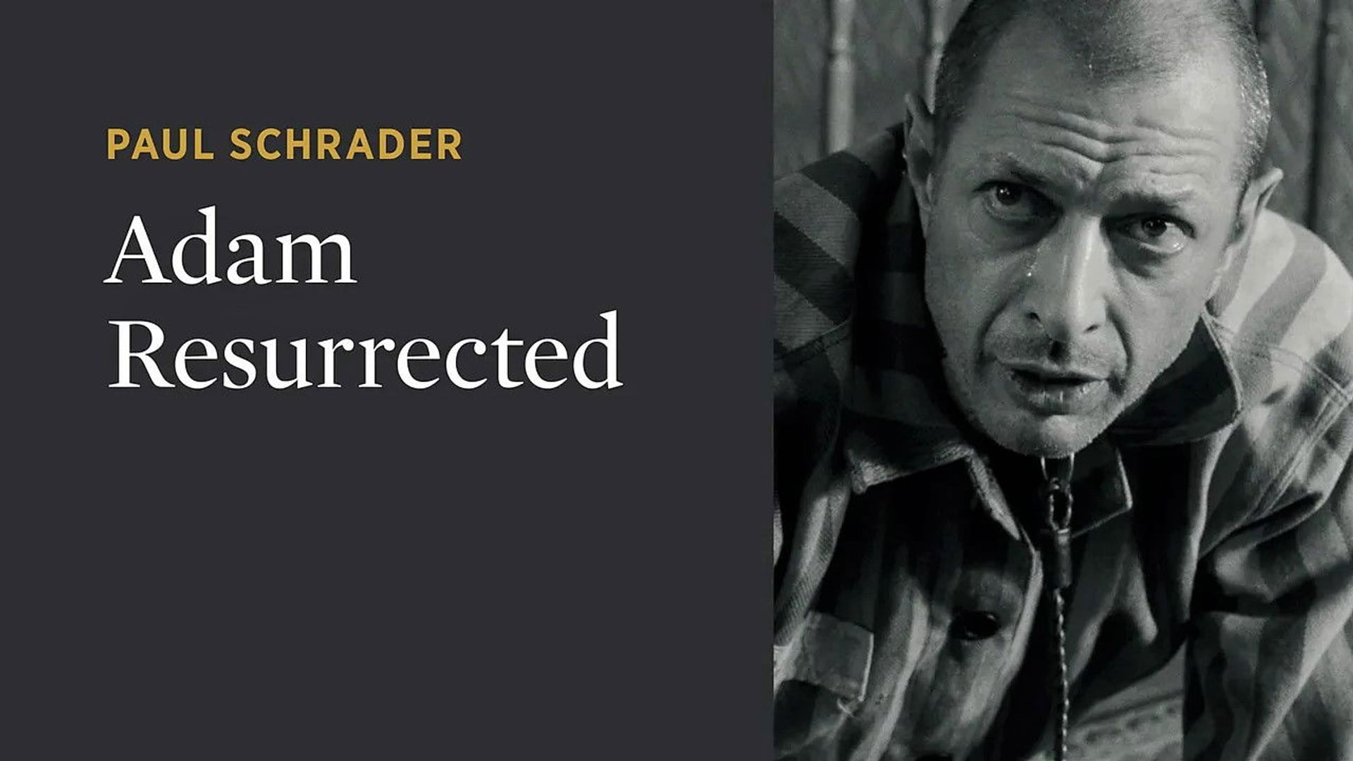 Foto do filme Adam: Memórias de uma Guerra