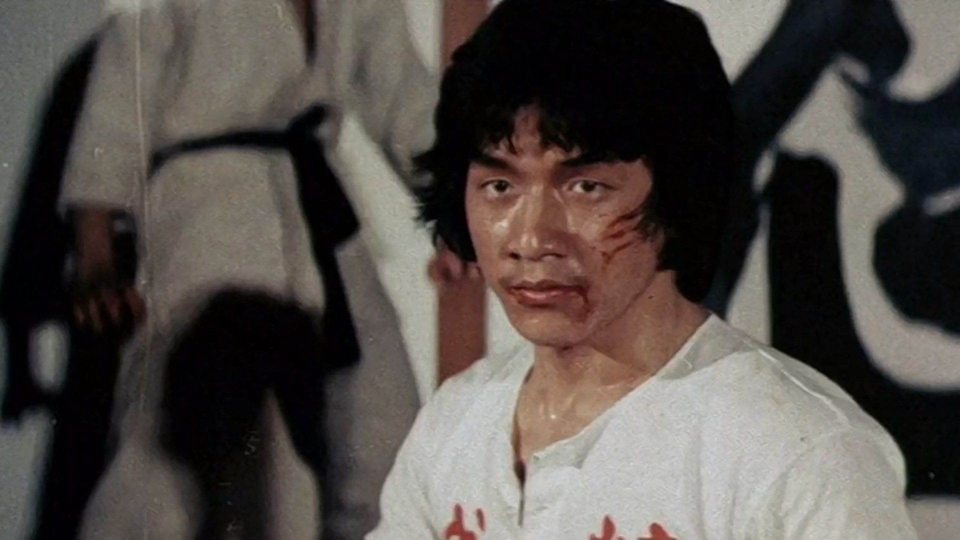 Foto do filme A Nova Fúria do Dragão