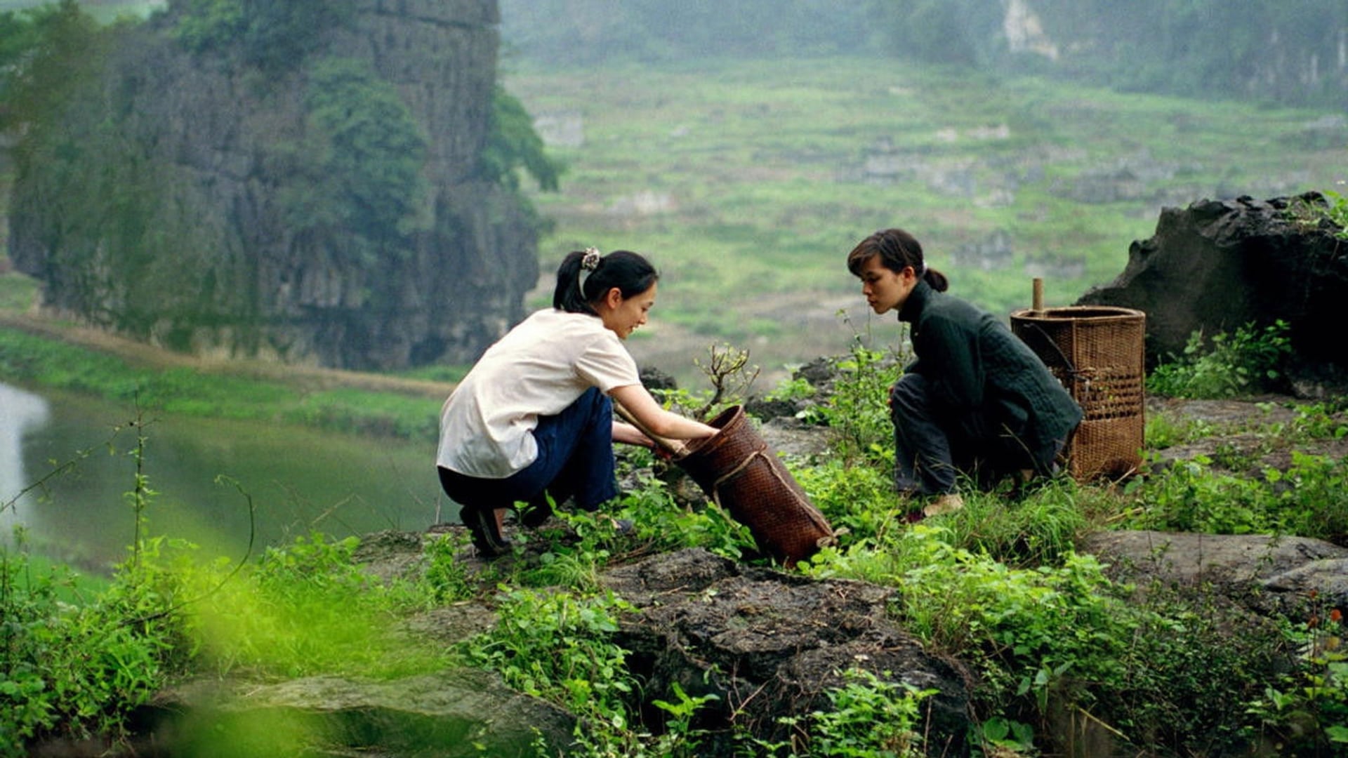 Foto do filme Les filles du botaniste