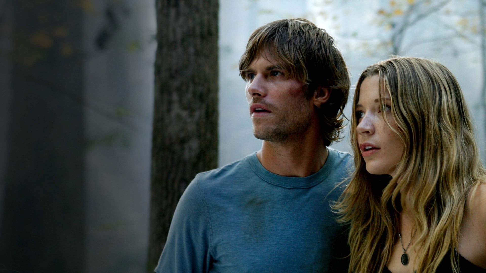 Foto do filme Asylum: Não Estamos Sozinhos