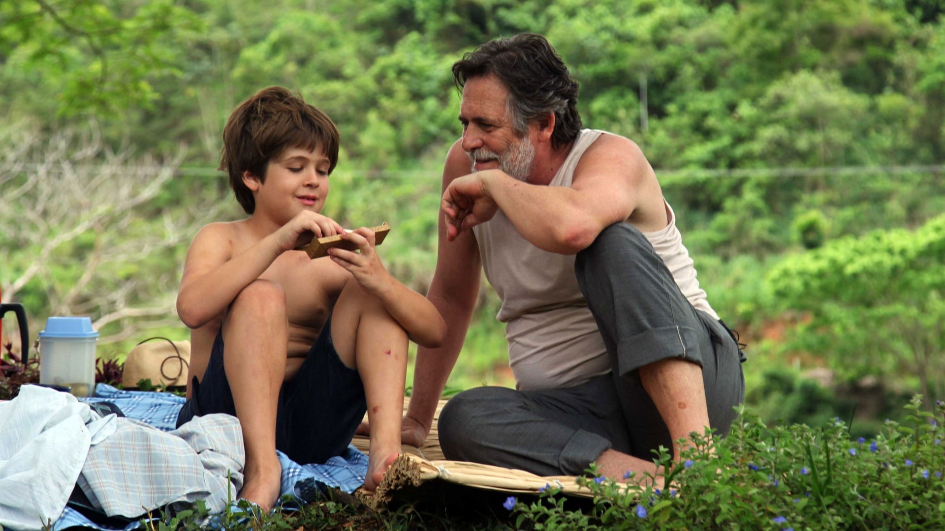 Foto do filme Meu Pé de Laranja Lima