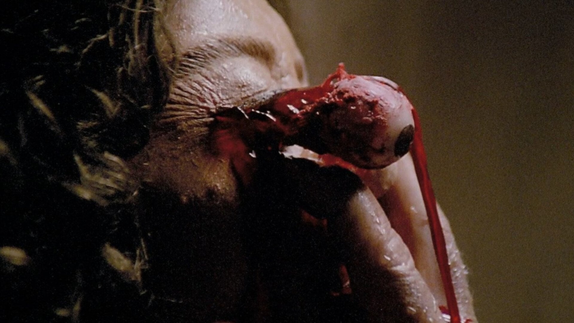 Foto do filme Terror nas Trevas