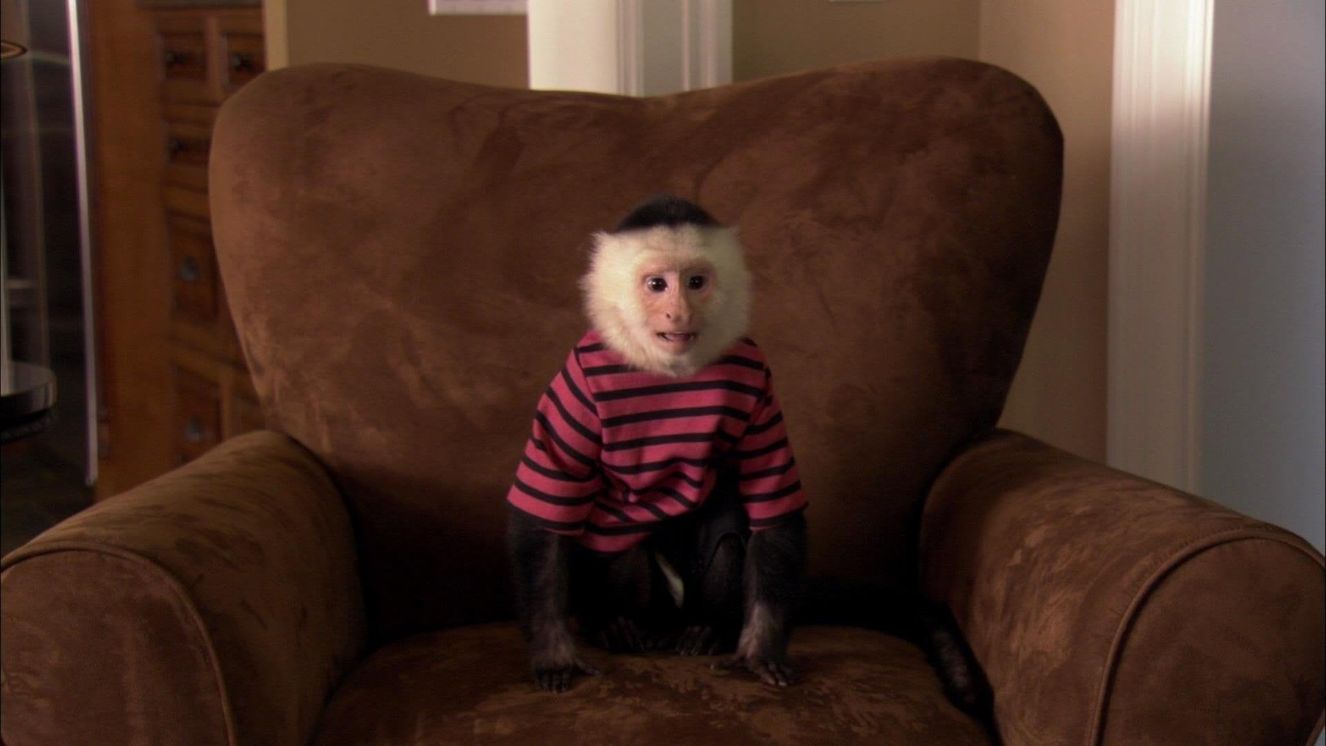 Foto do filme Dr. Dolittle 5