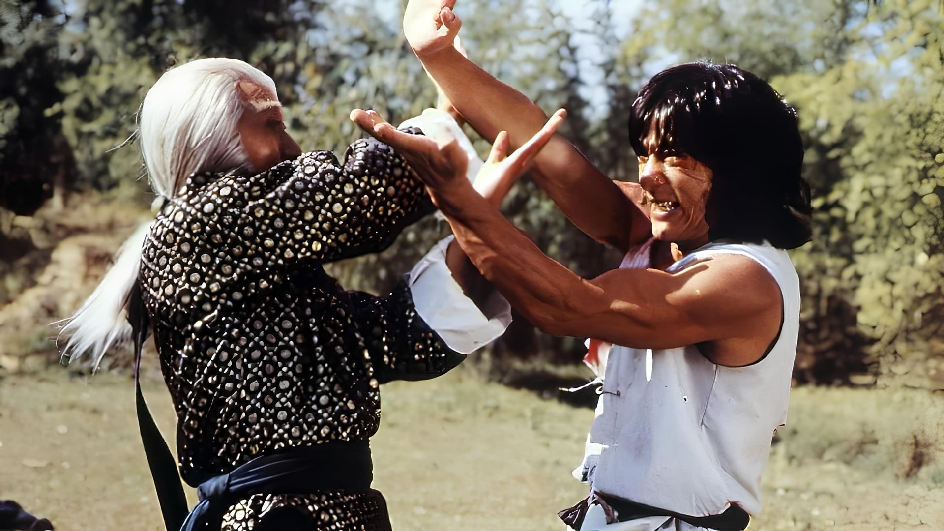 Foto do filme A Vingança do Dragão