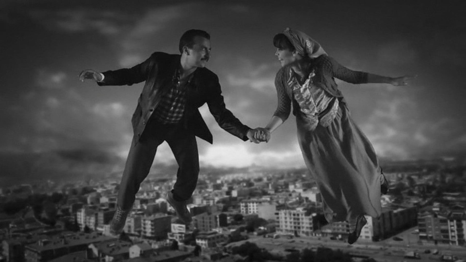 Foto do filme Você Ilumina a Noite