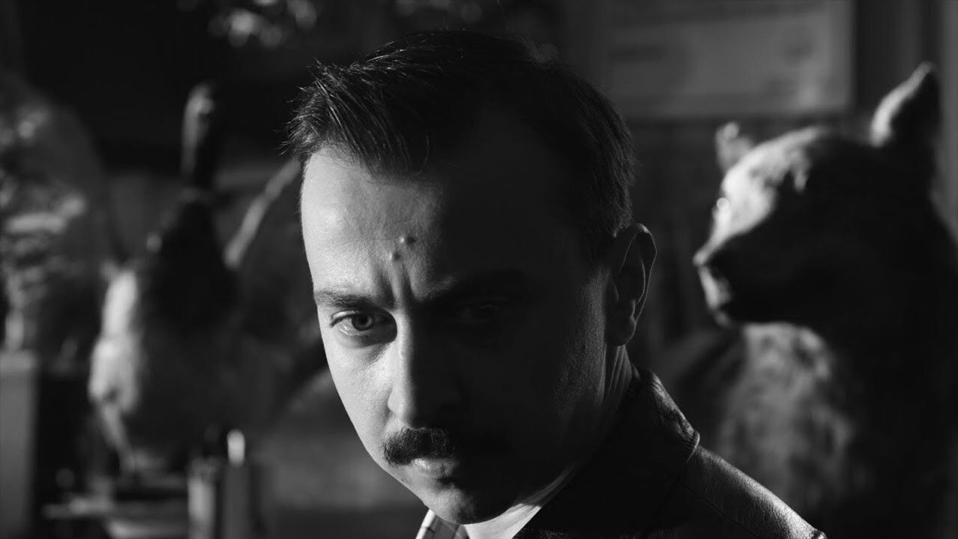 Foto do filme Você Ilumina a Noite