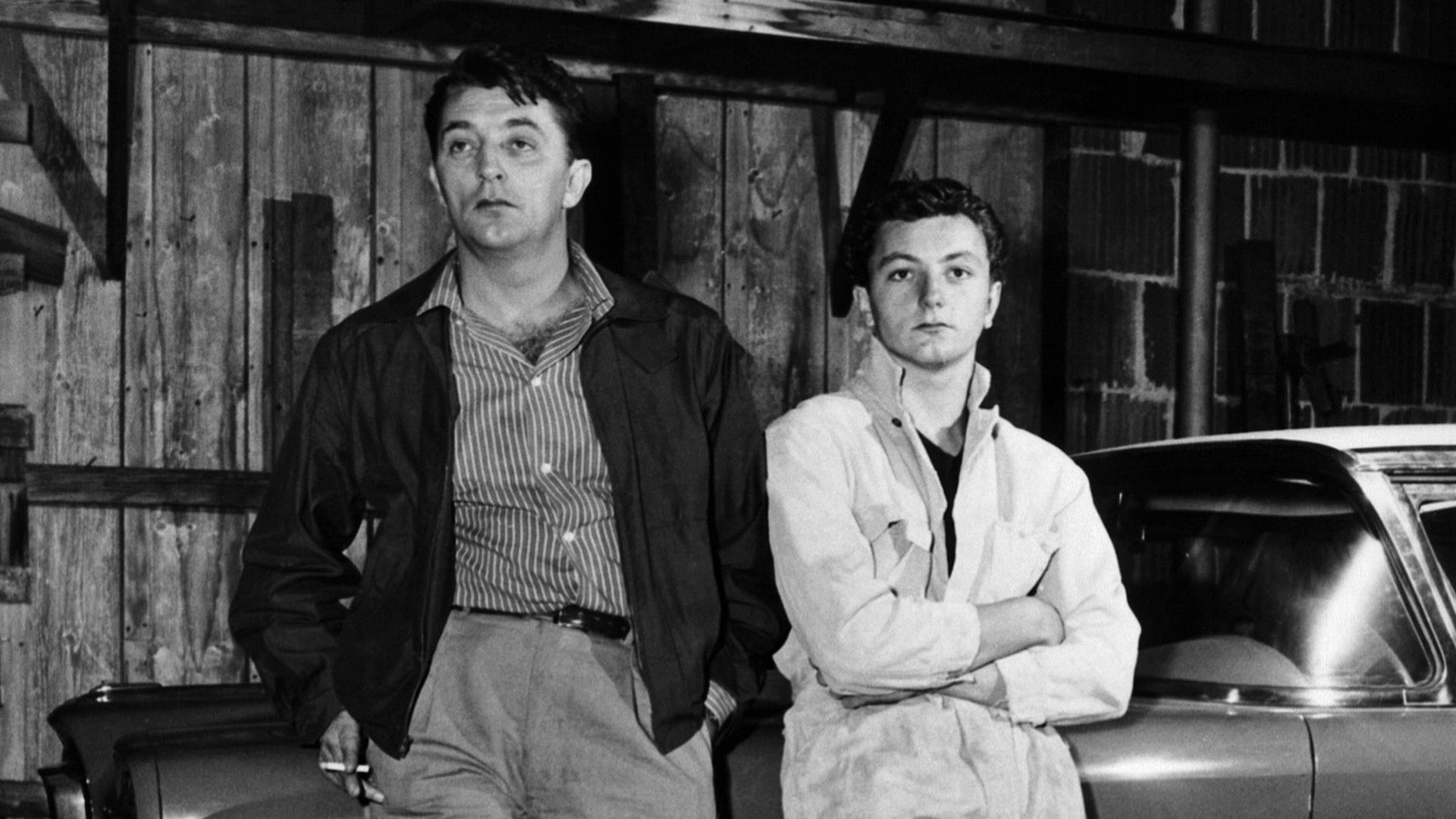 Foto do filme A Lei da Montanha