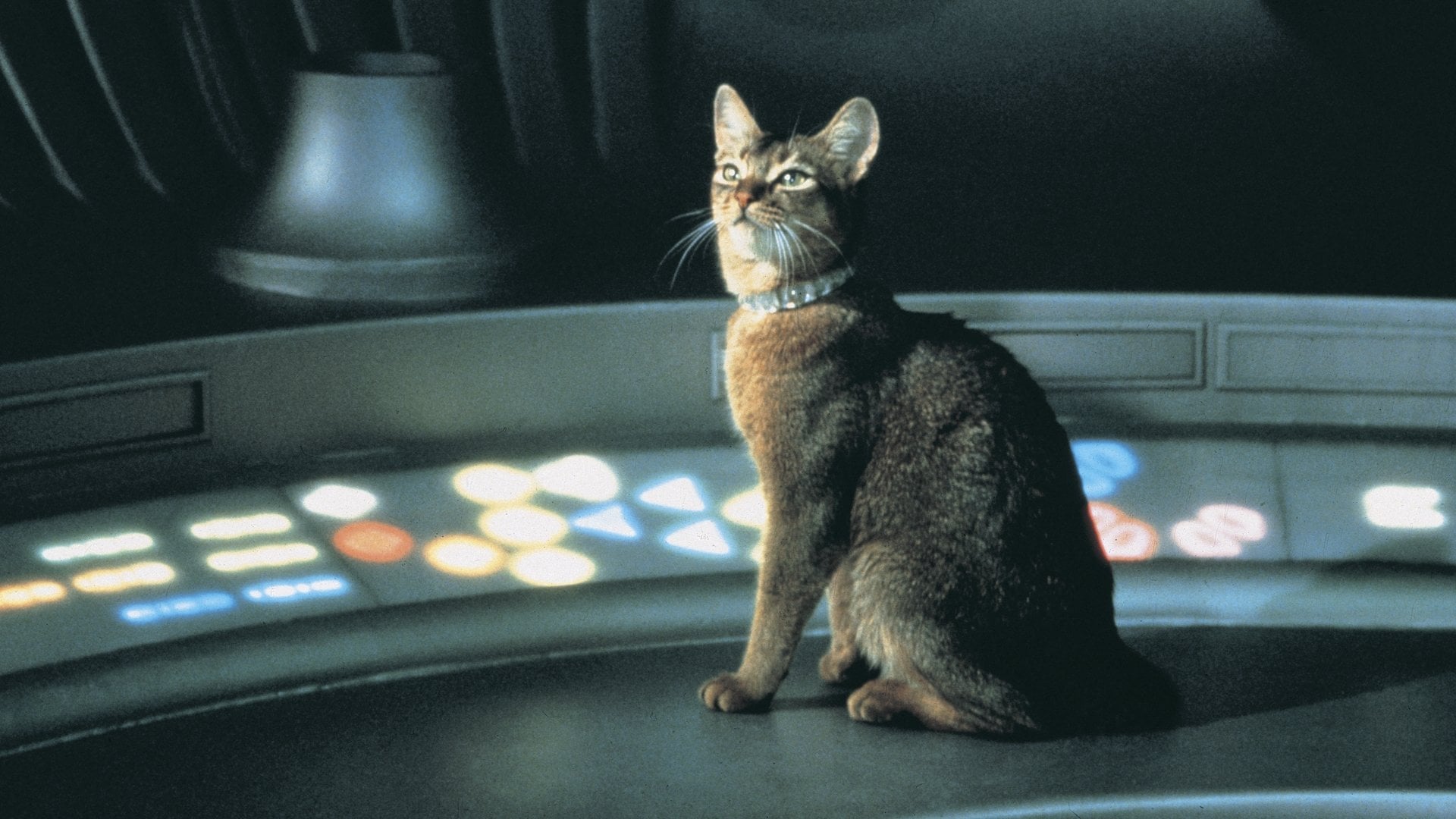 Foto do filme O Gato Que Veio do Espaço