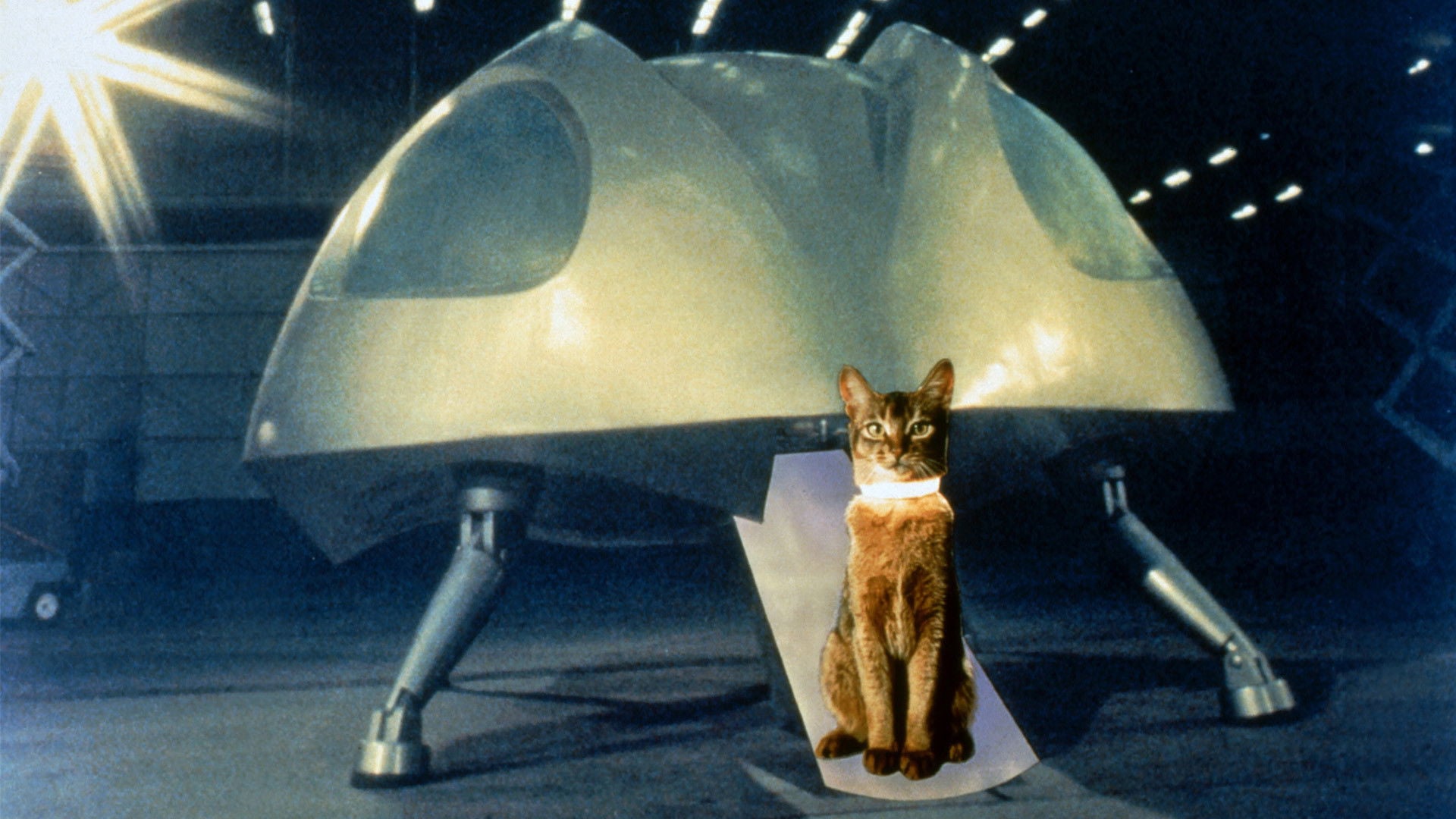 Foto do filme O Gato Que Veio do Espaço