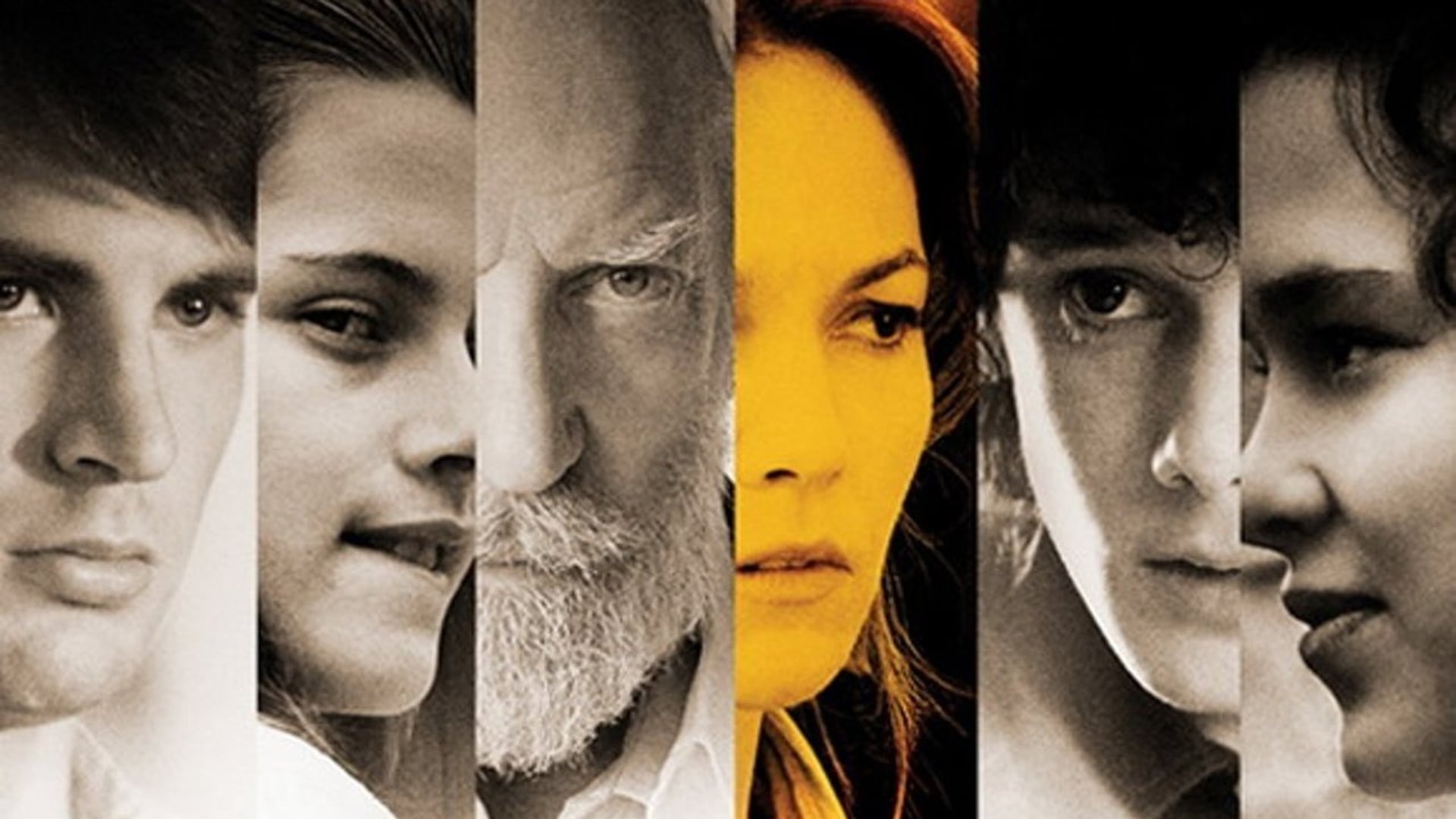 Foto do filme Sociedade Feroz