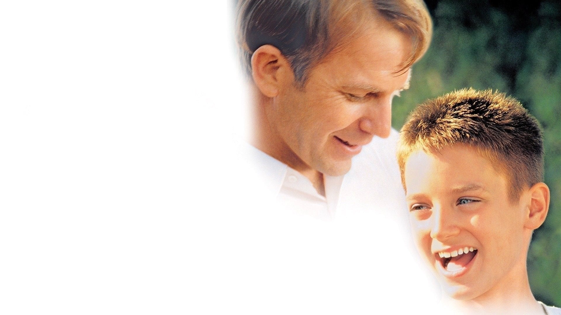 Foto do filme A Árvore dos Sonhos