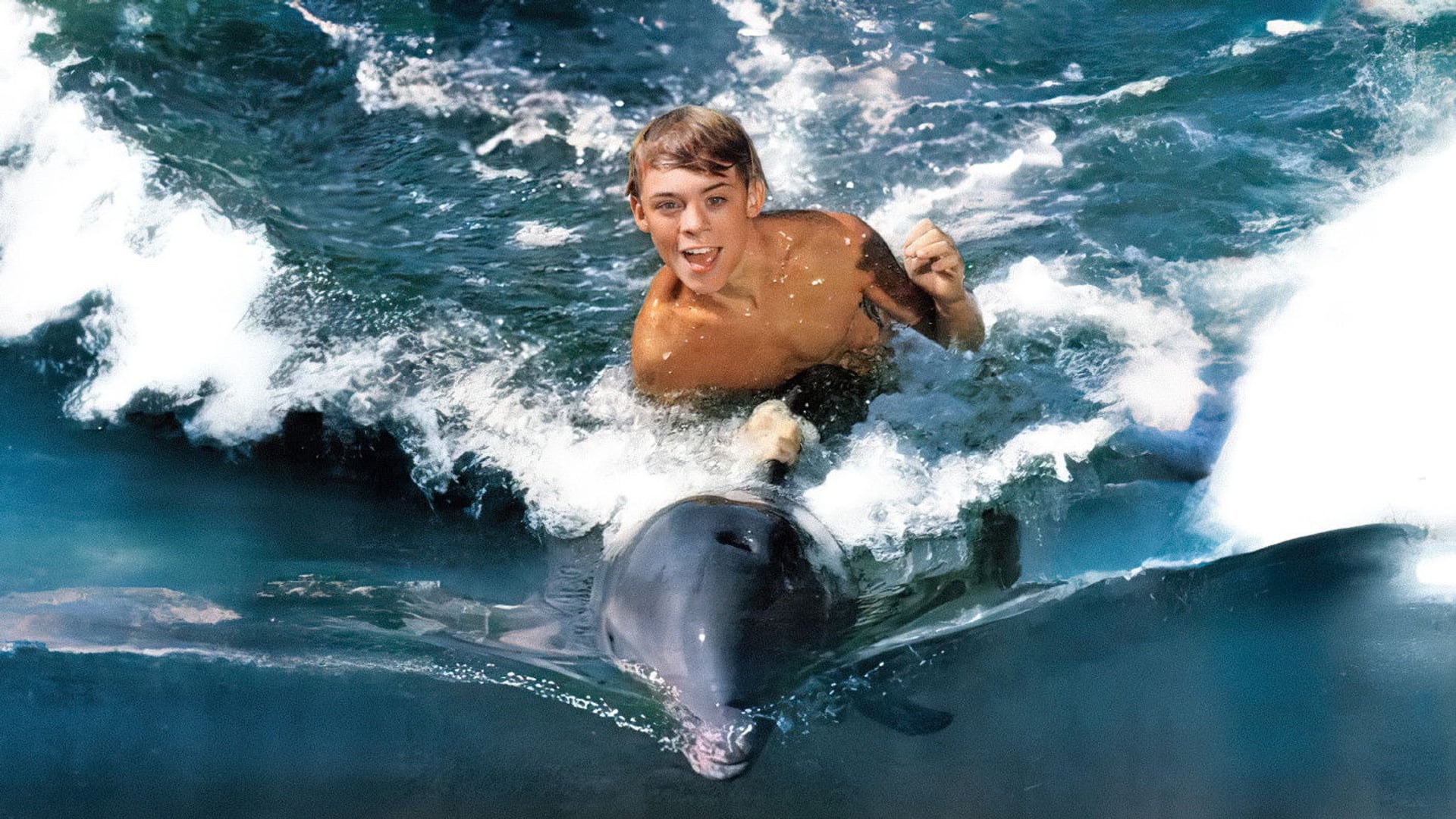 Foto do filme Flipper - O Menino e o Delfim