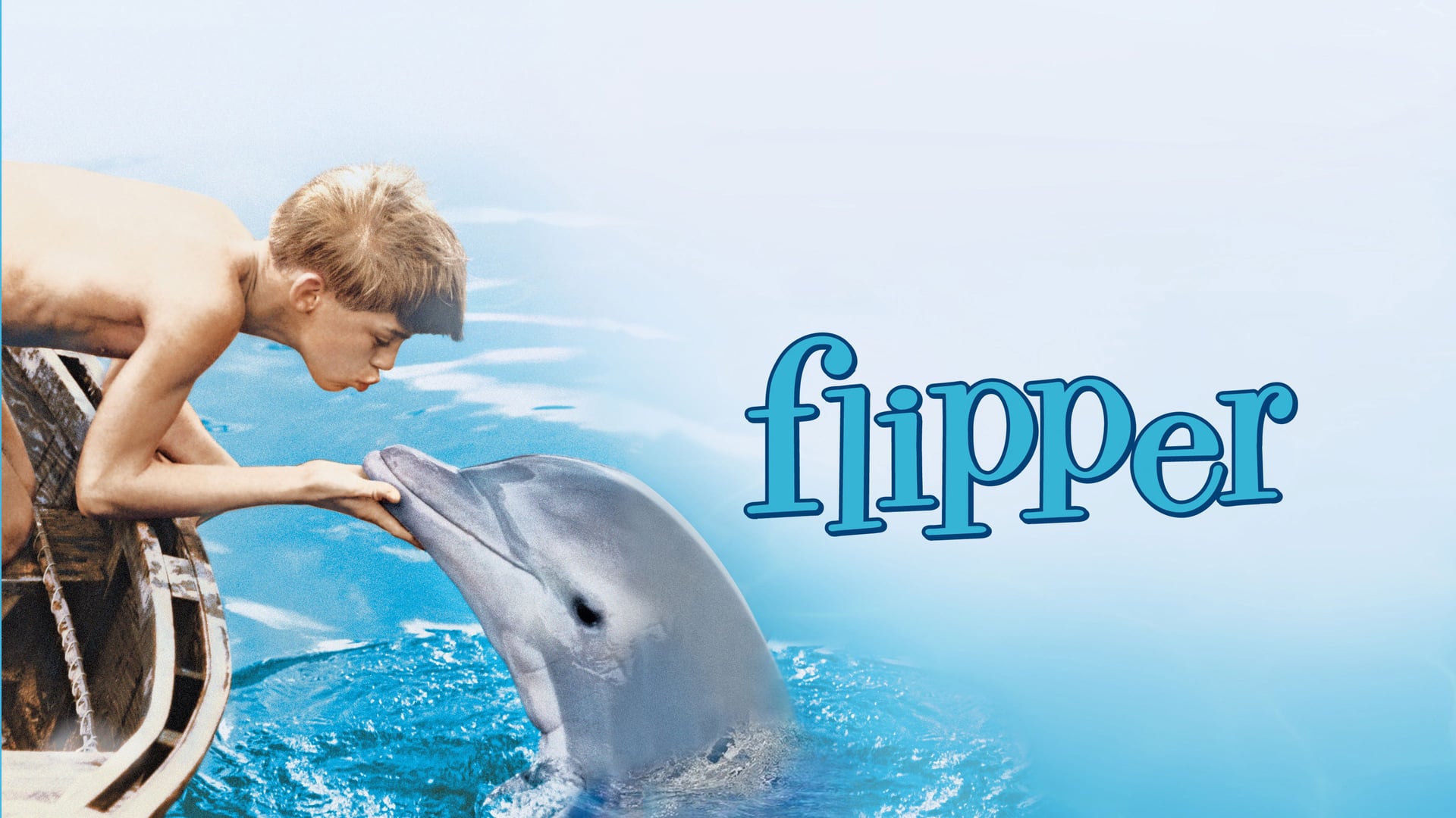 Foto do filme Flipper - O Menino e o Delfim