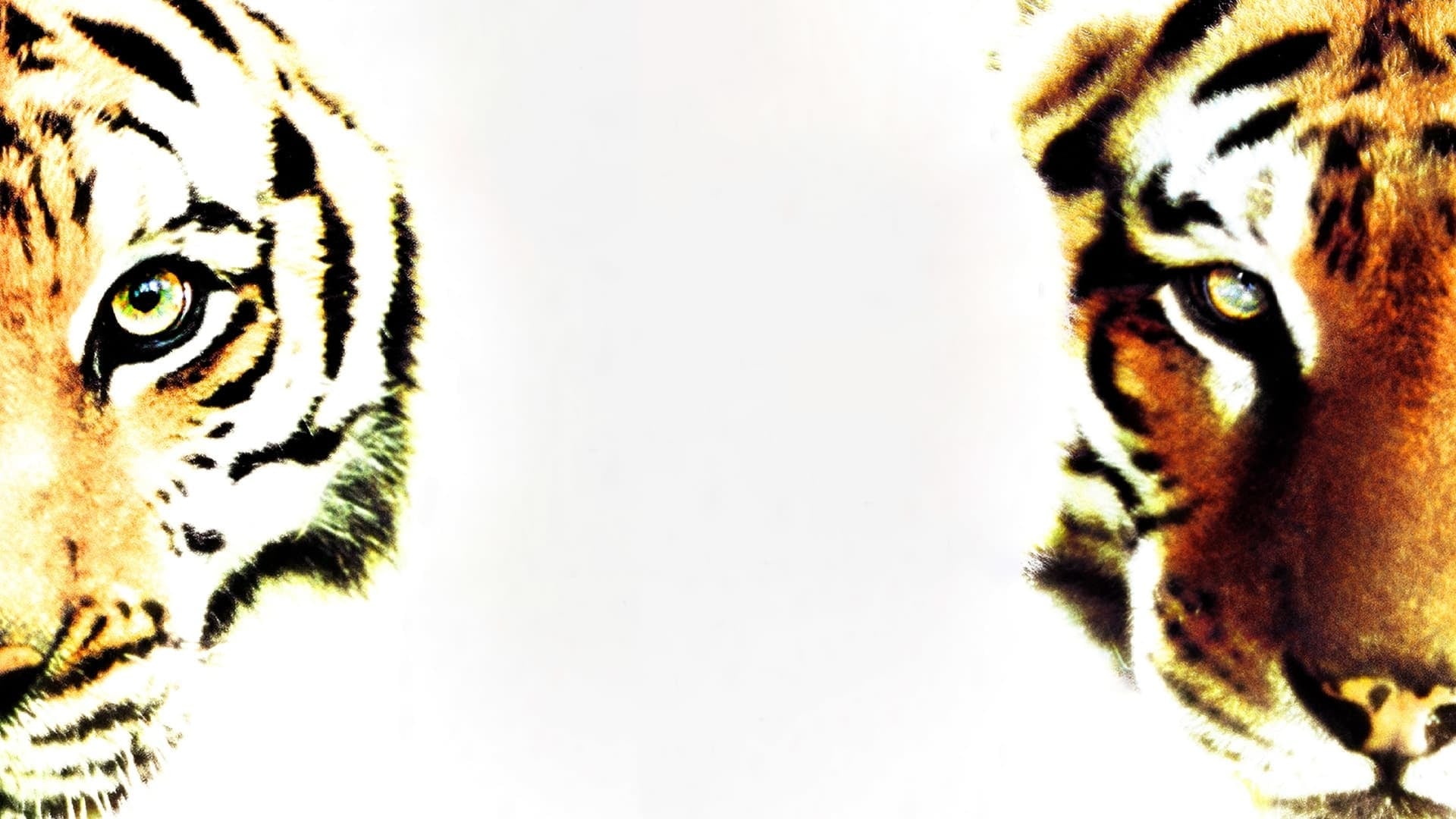 Foto do filme Era Uma Vez Dois Irmãos