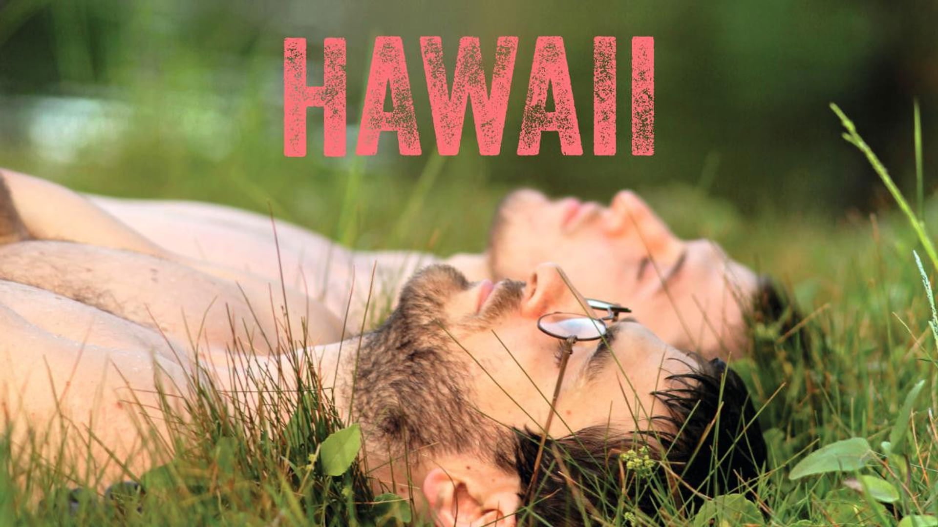Foto do filme Havaí: Amor Sem Palavras
