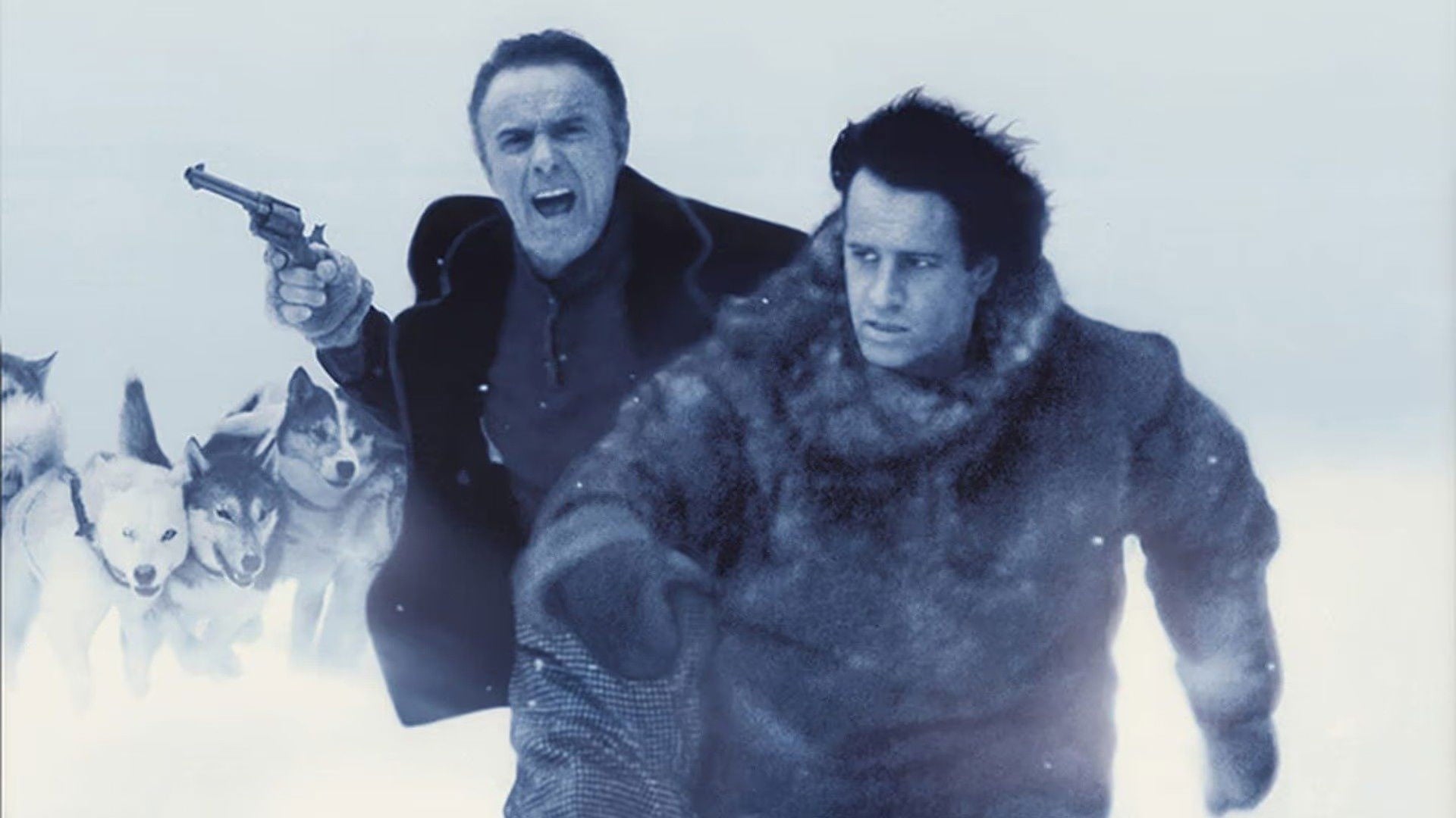 Foto do filme Tashunga