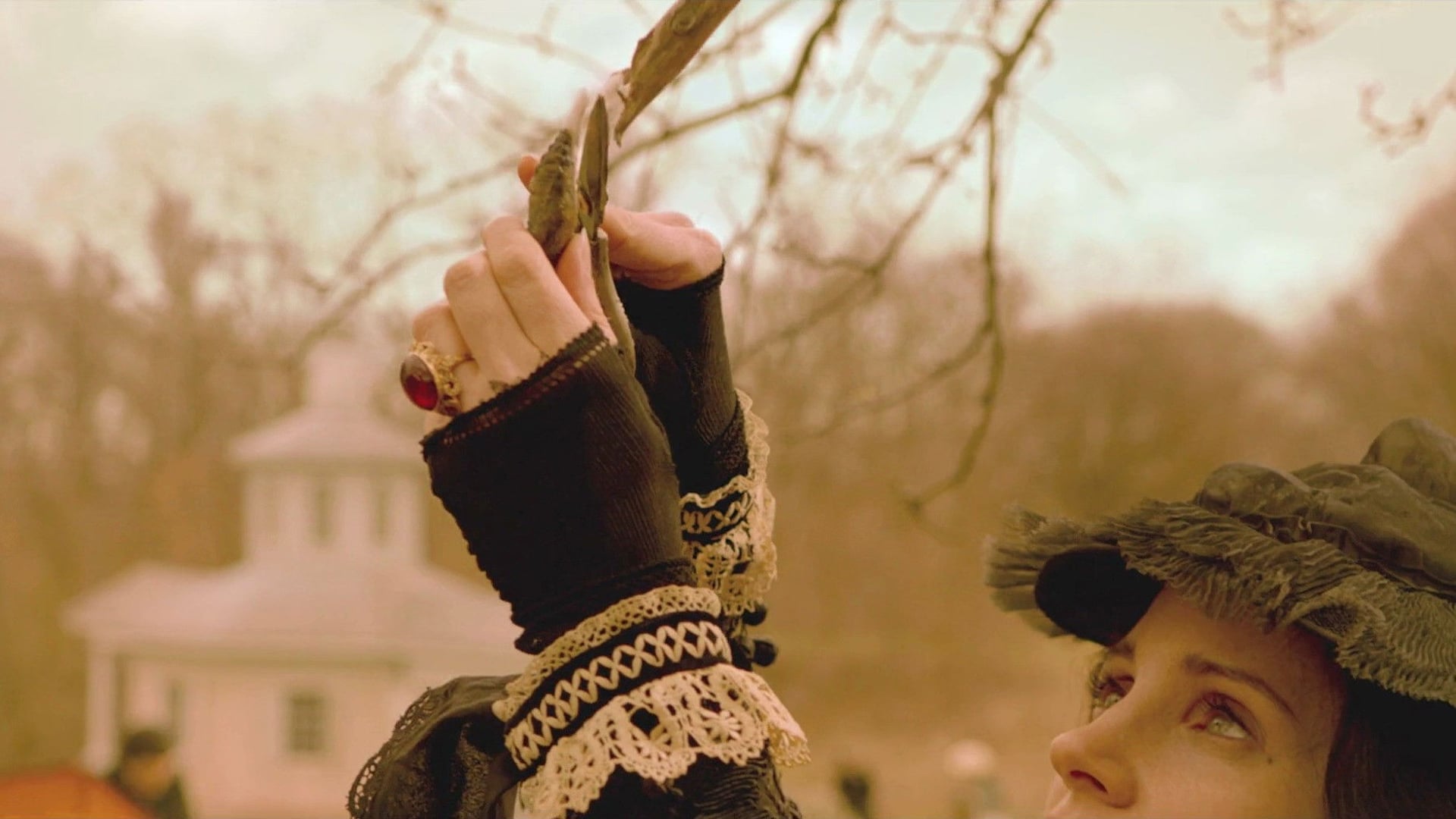 Foto do filme A Colina Escarlate