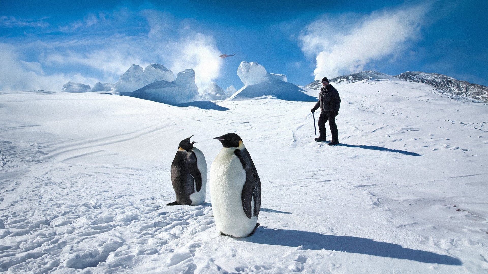 Foto do filme Antarctica: A Year on Ice