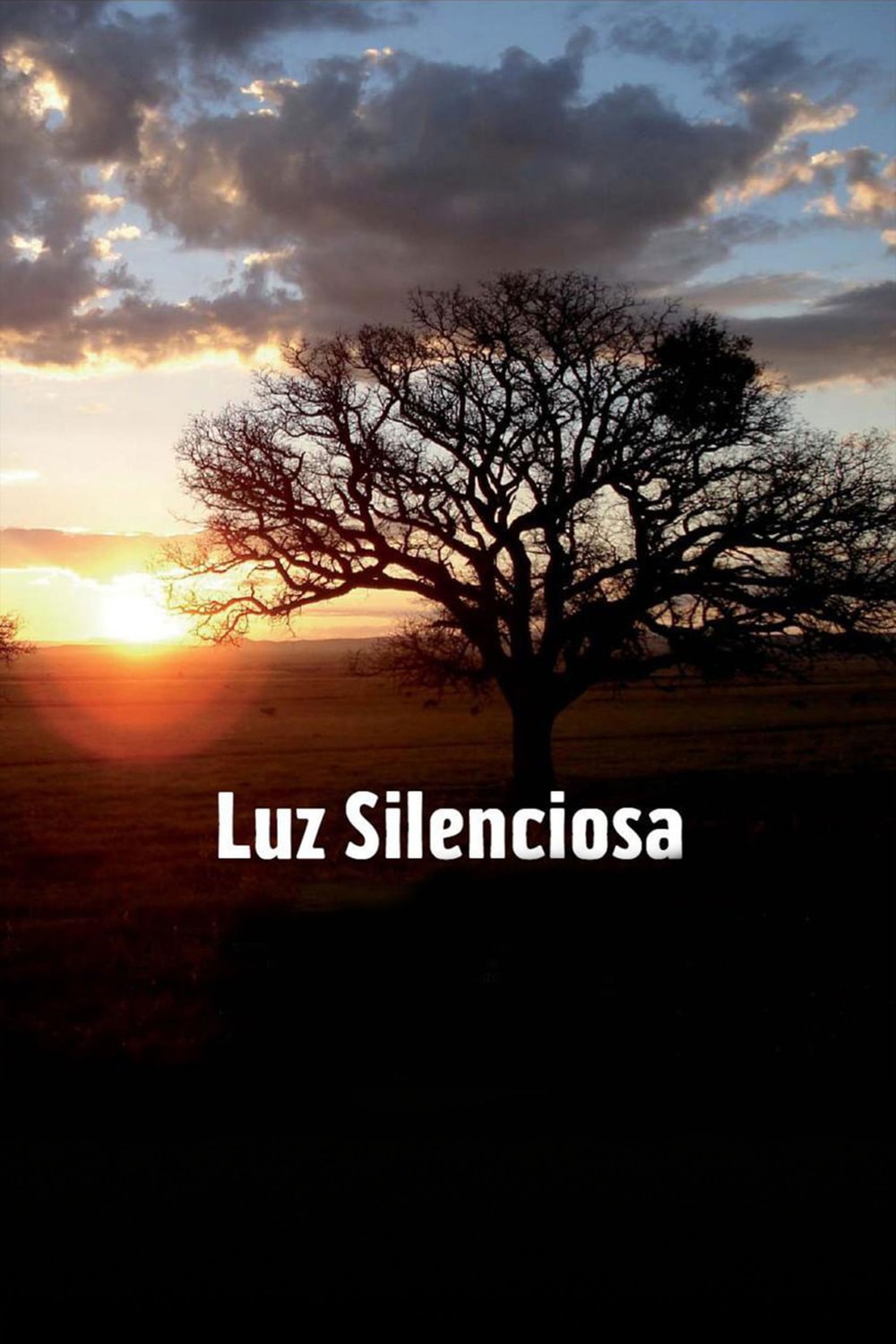 Luz Silenciosa