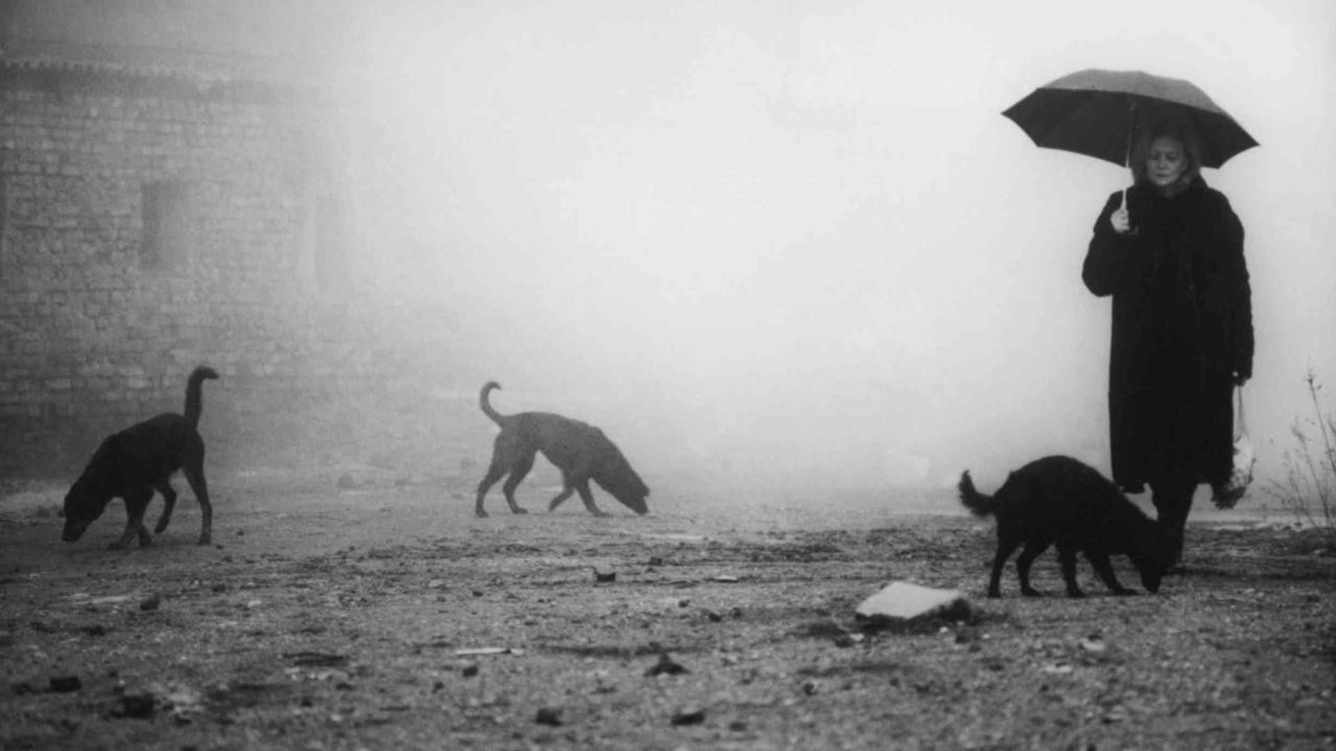 Foto do filme Danação