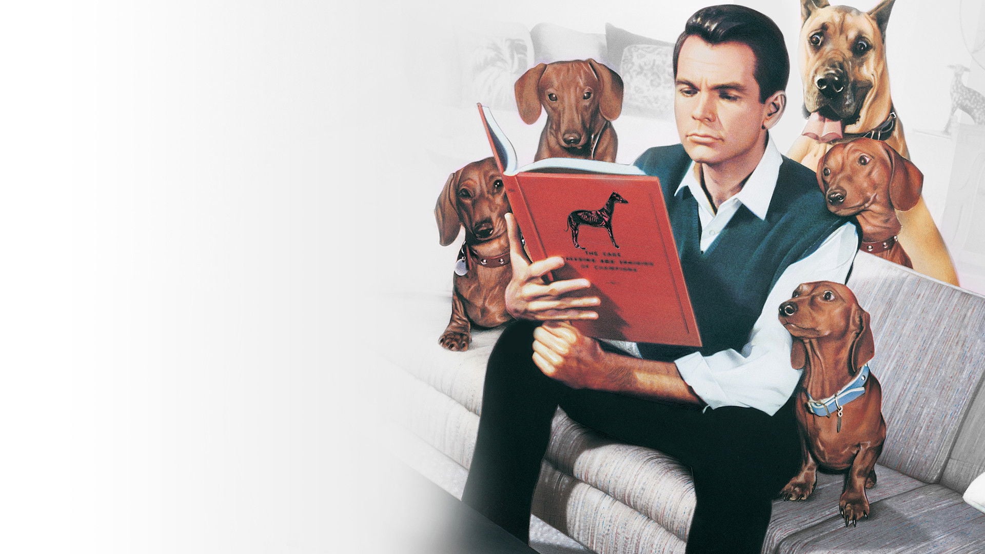 Foto do filme Um Amor de Companheiro