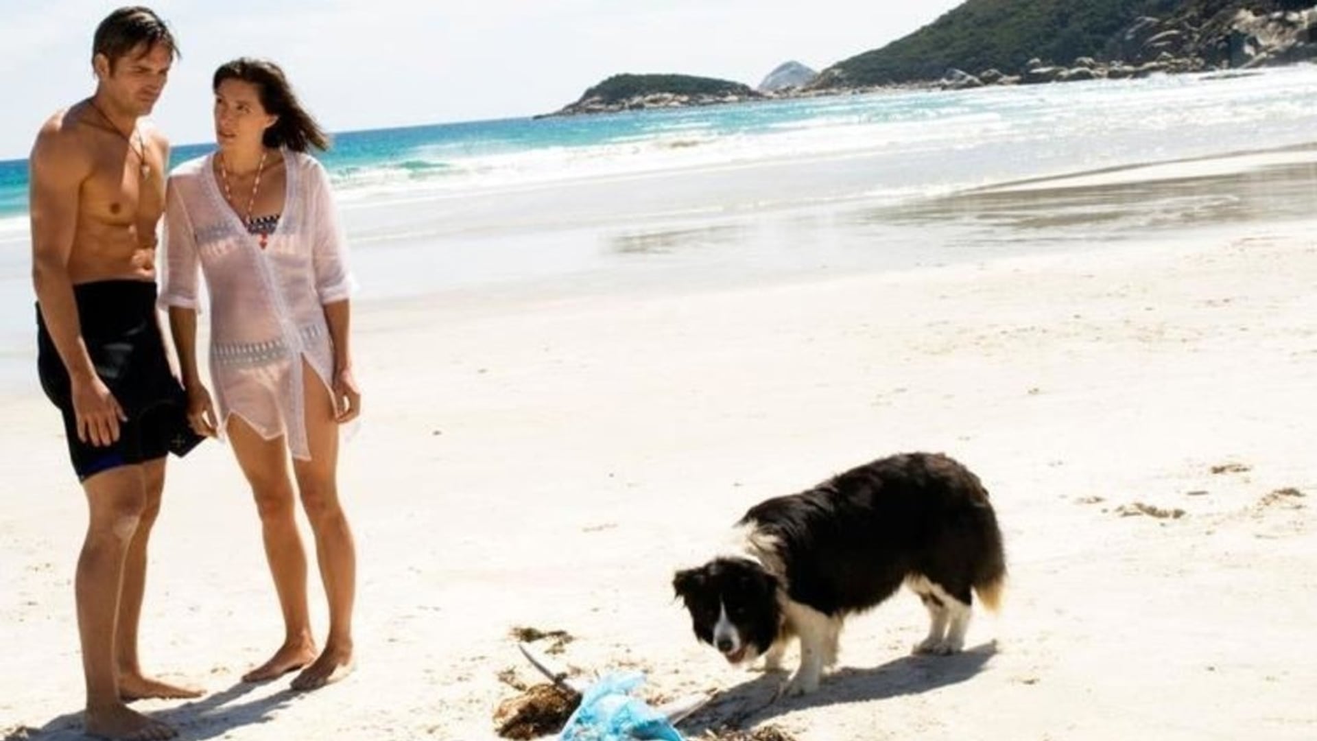 Foto do filme Isolados