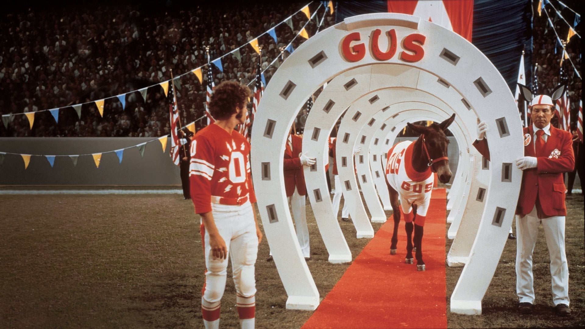 Foto do filme Gus: Uma Mula Fora de Série