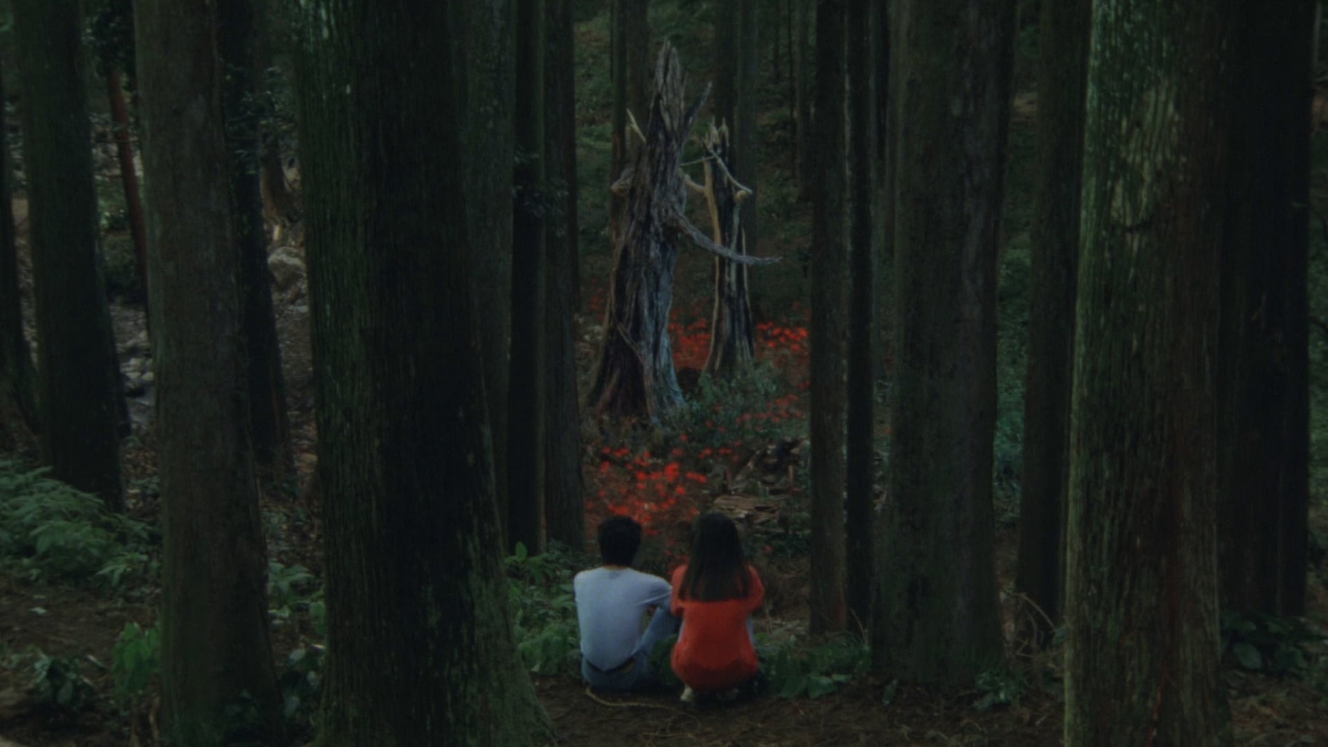 Foto do filme Rapsódia em Agosto