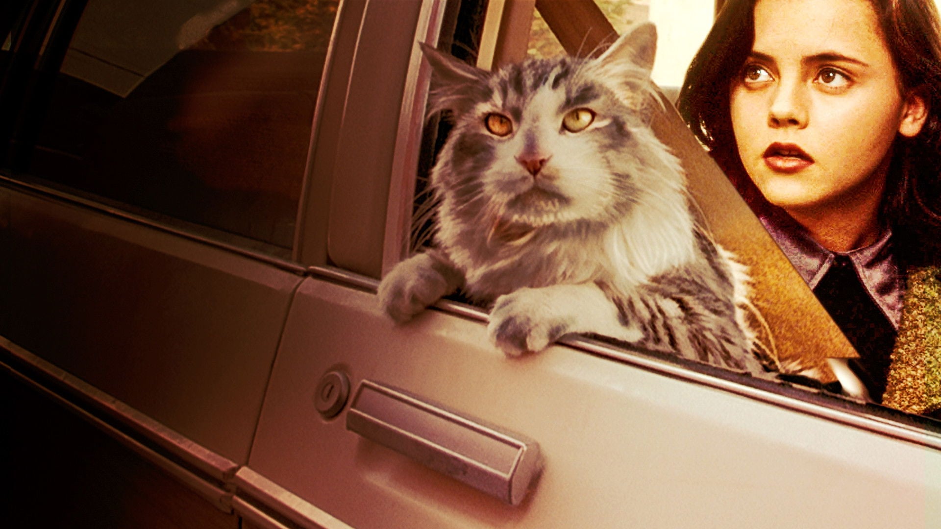 Foto do filme O Diabólico Agente D.C.