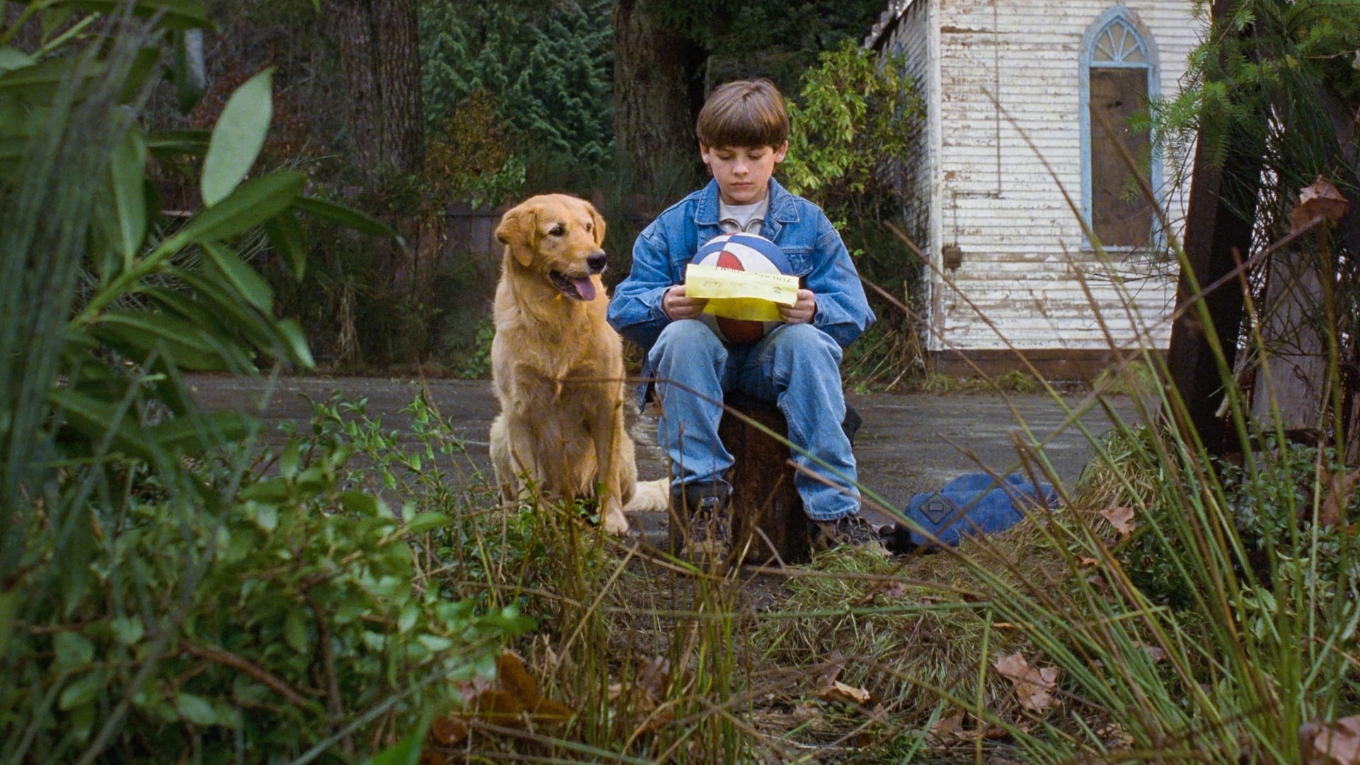 Foto do filme Bud: O Cão Amigo